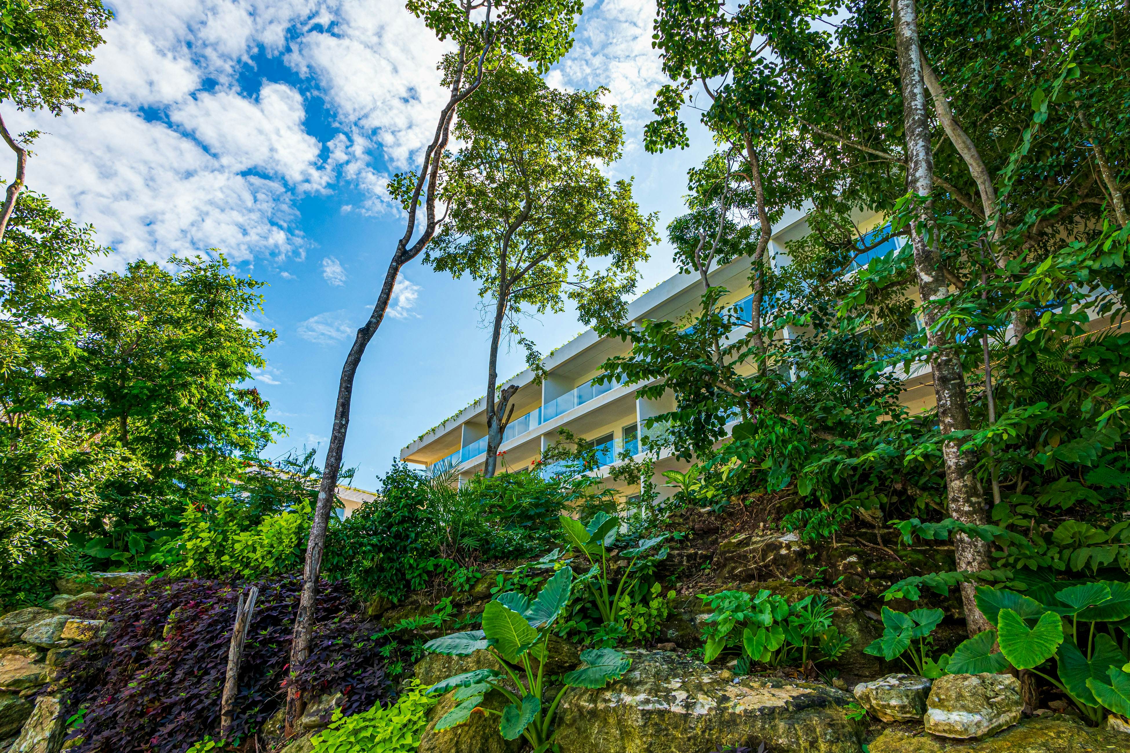 Ocean Whispers TL A206- One bedroom