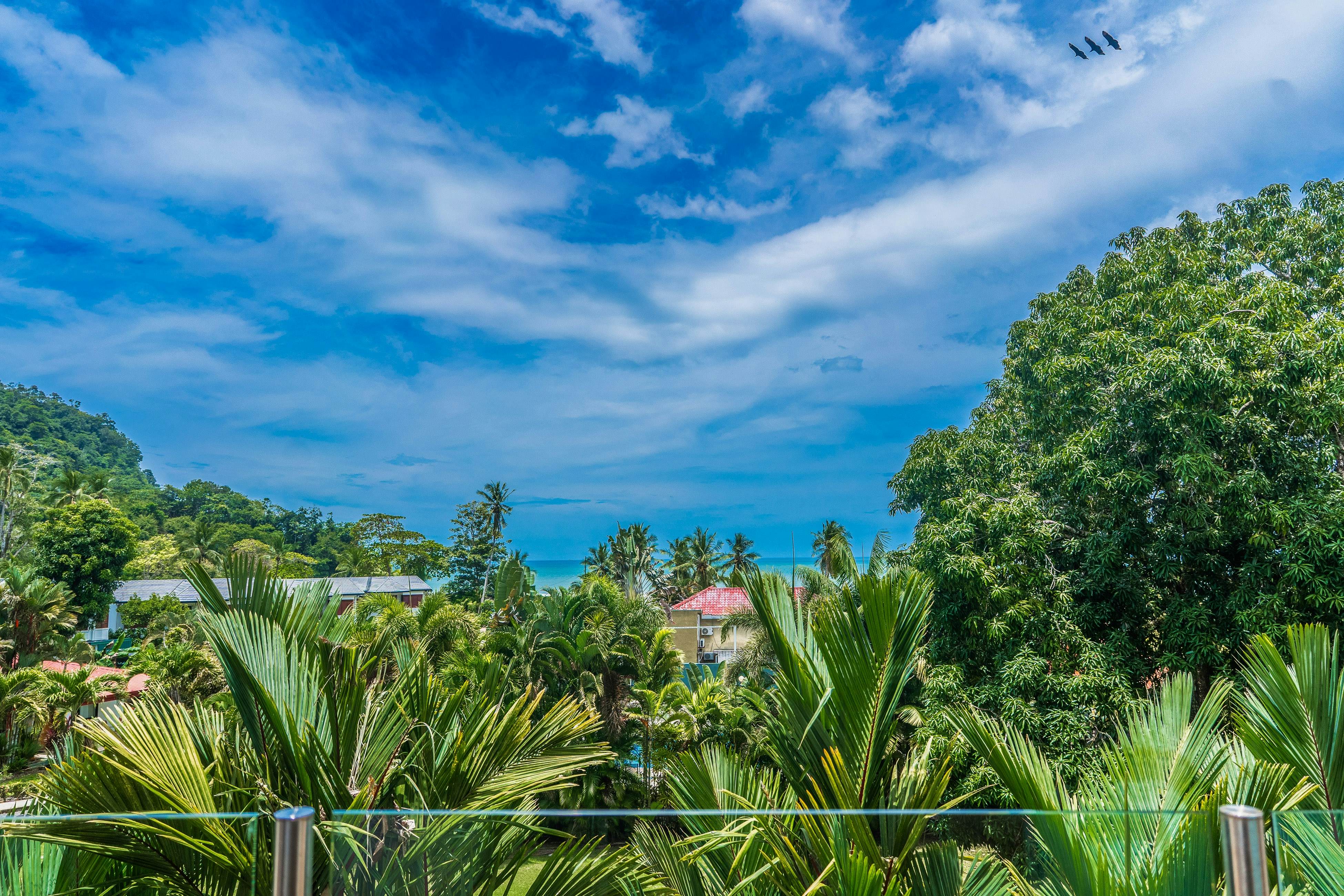 Sunset Boulevard 304