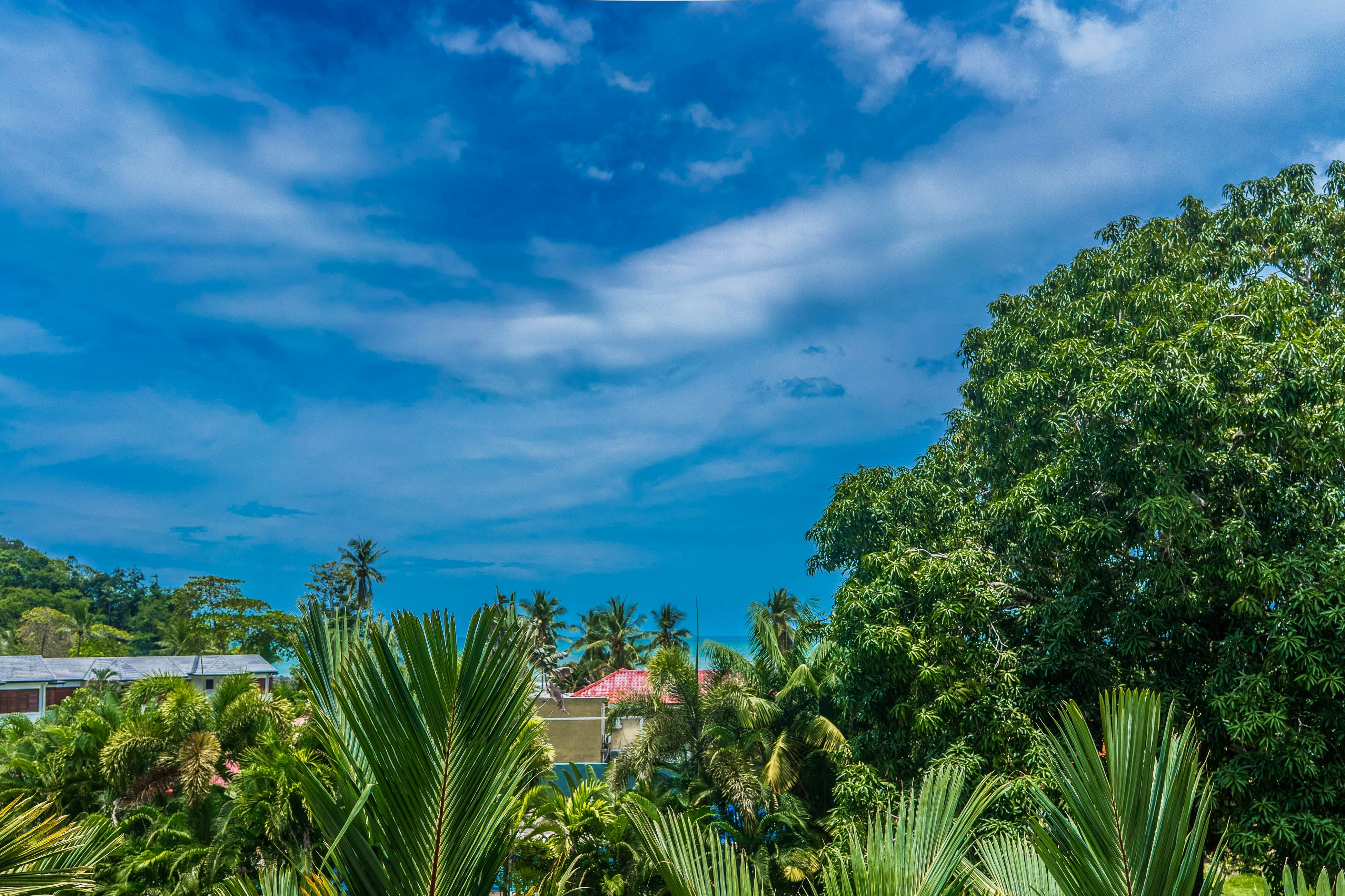 Sunset Boulevard 304