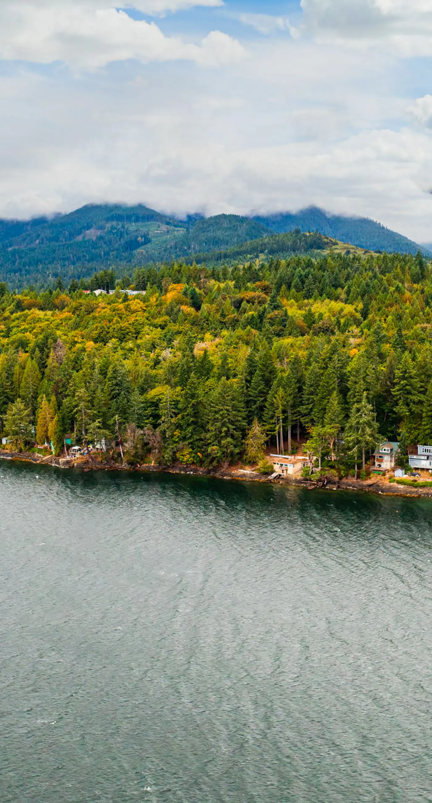 Dog-Friendly Hood Canal Shoreline Escape