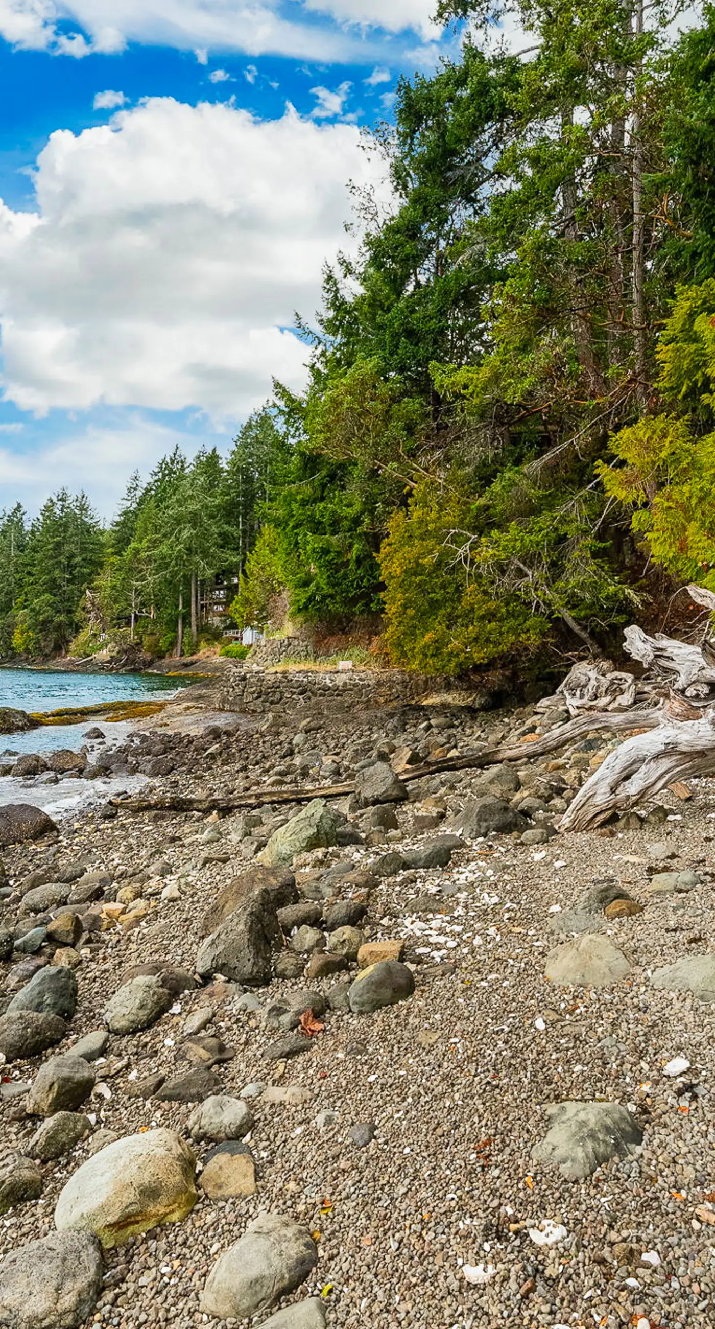 Dog-Friendly Hood Canal Shoreline Escape