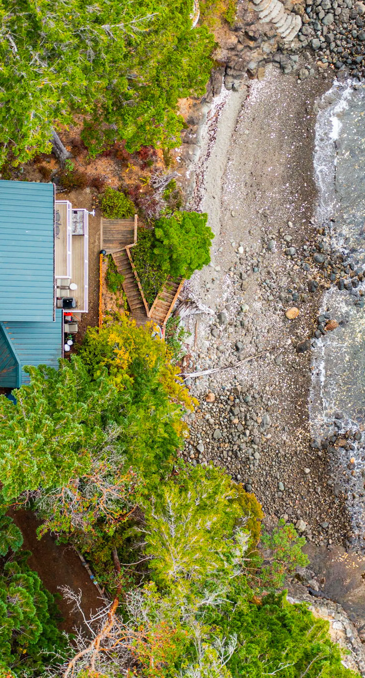 Dog-Friendly Hood Canal Shoreline Escape