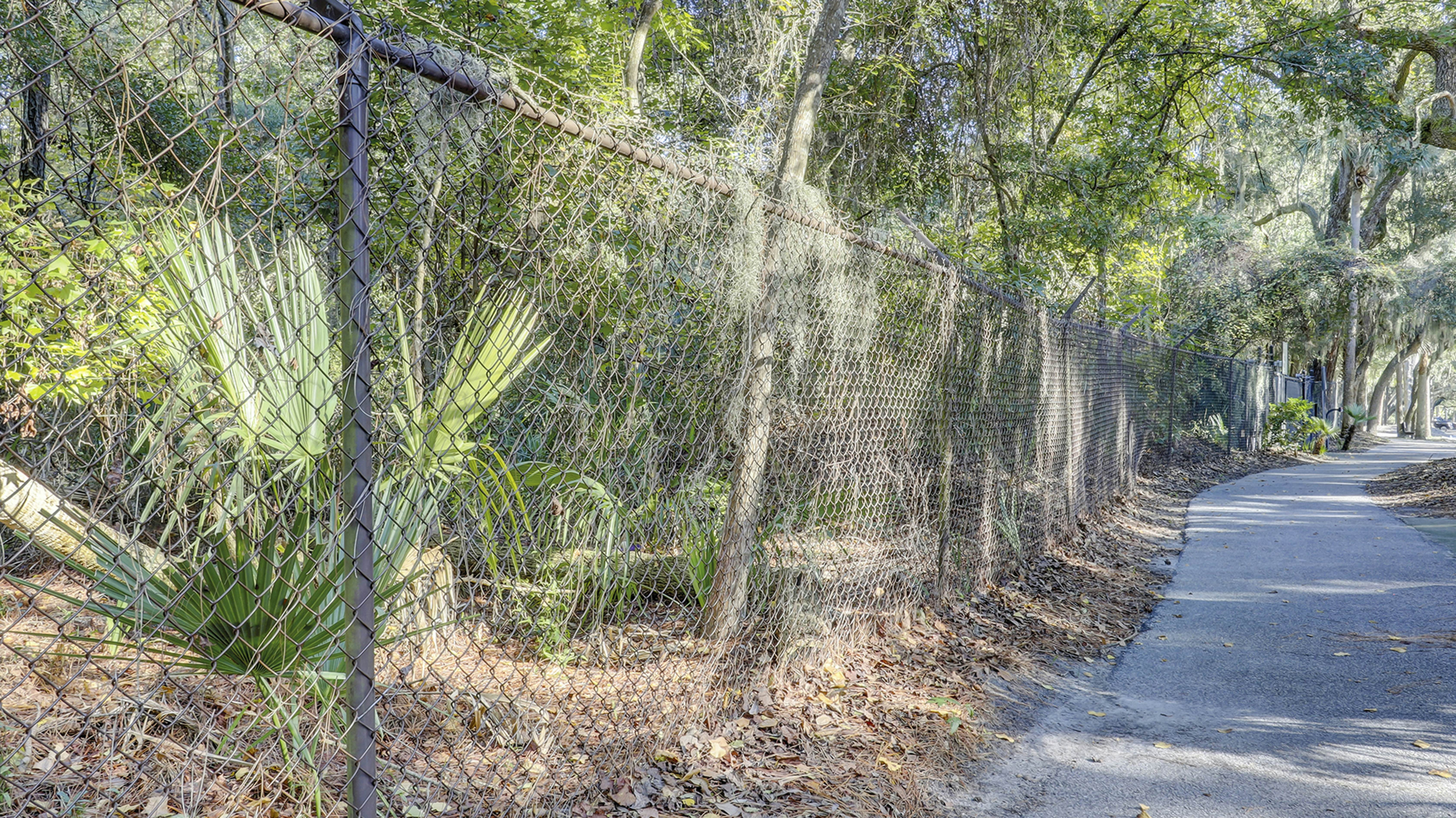 hidden image preload