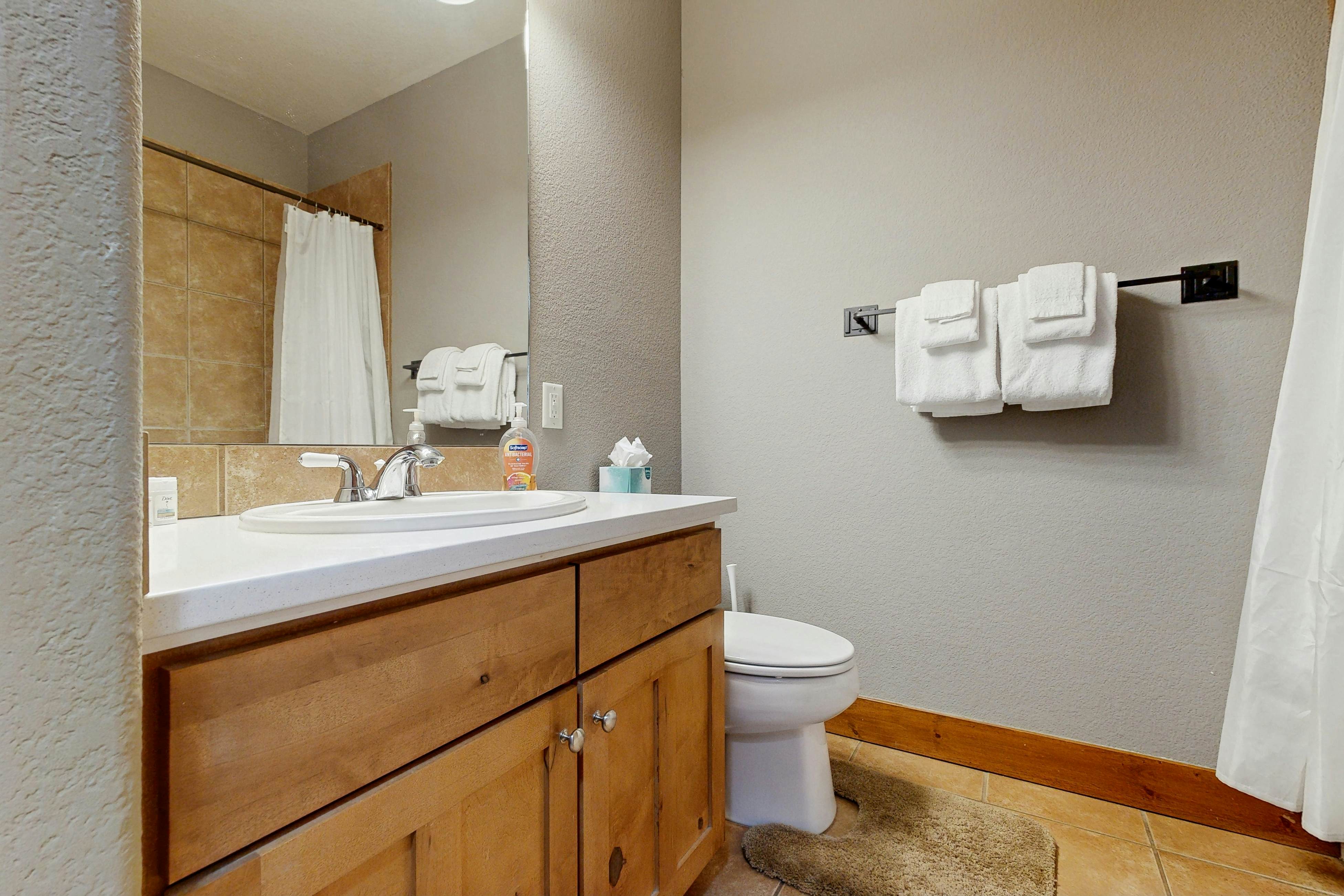 Kicking Horse Lodges 3-202