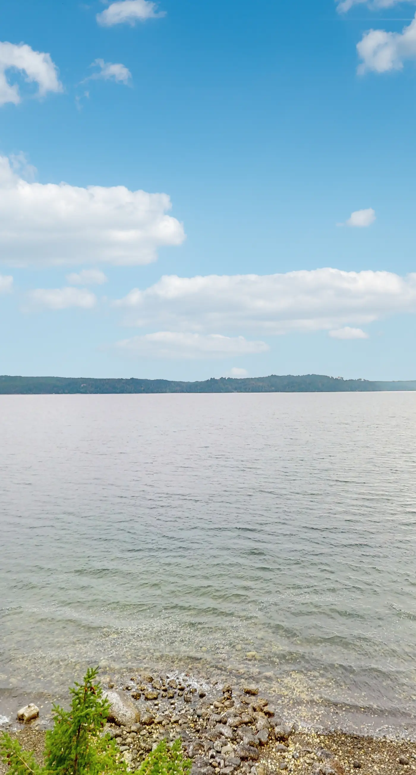 Dog-Friendly Hood Canal Shoreline Escape