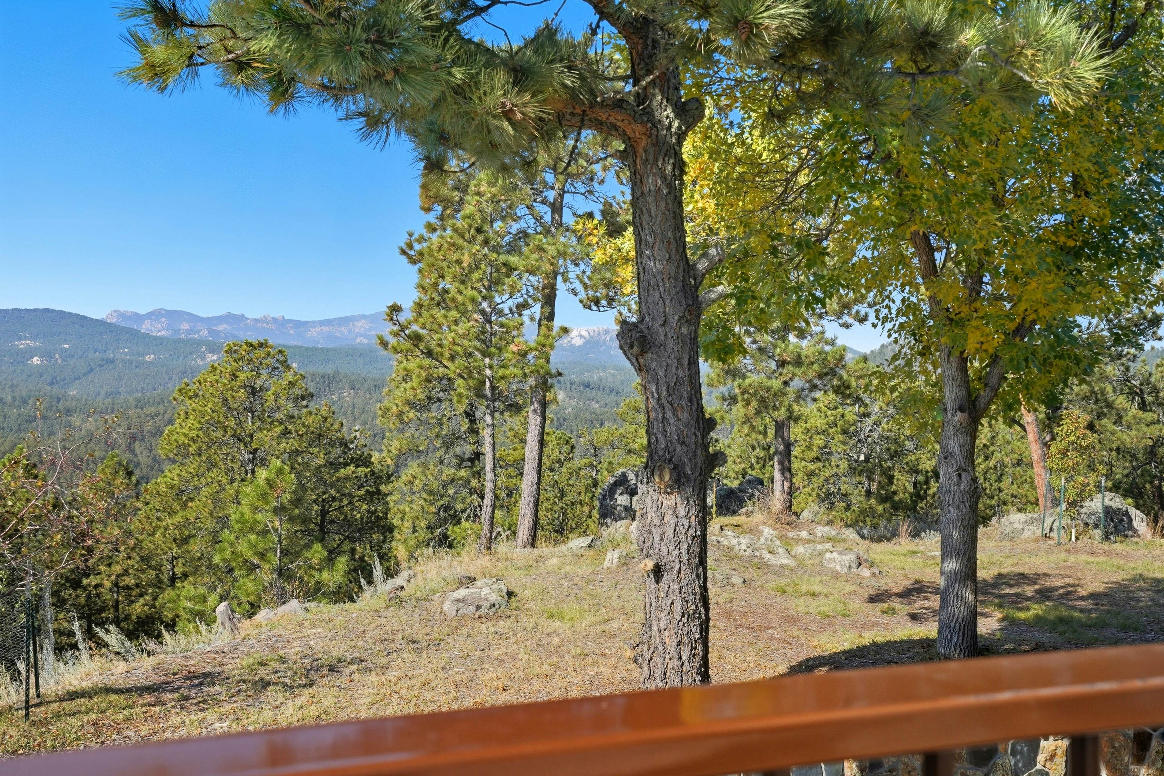 Black Hills Mountain Lodge