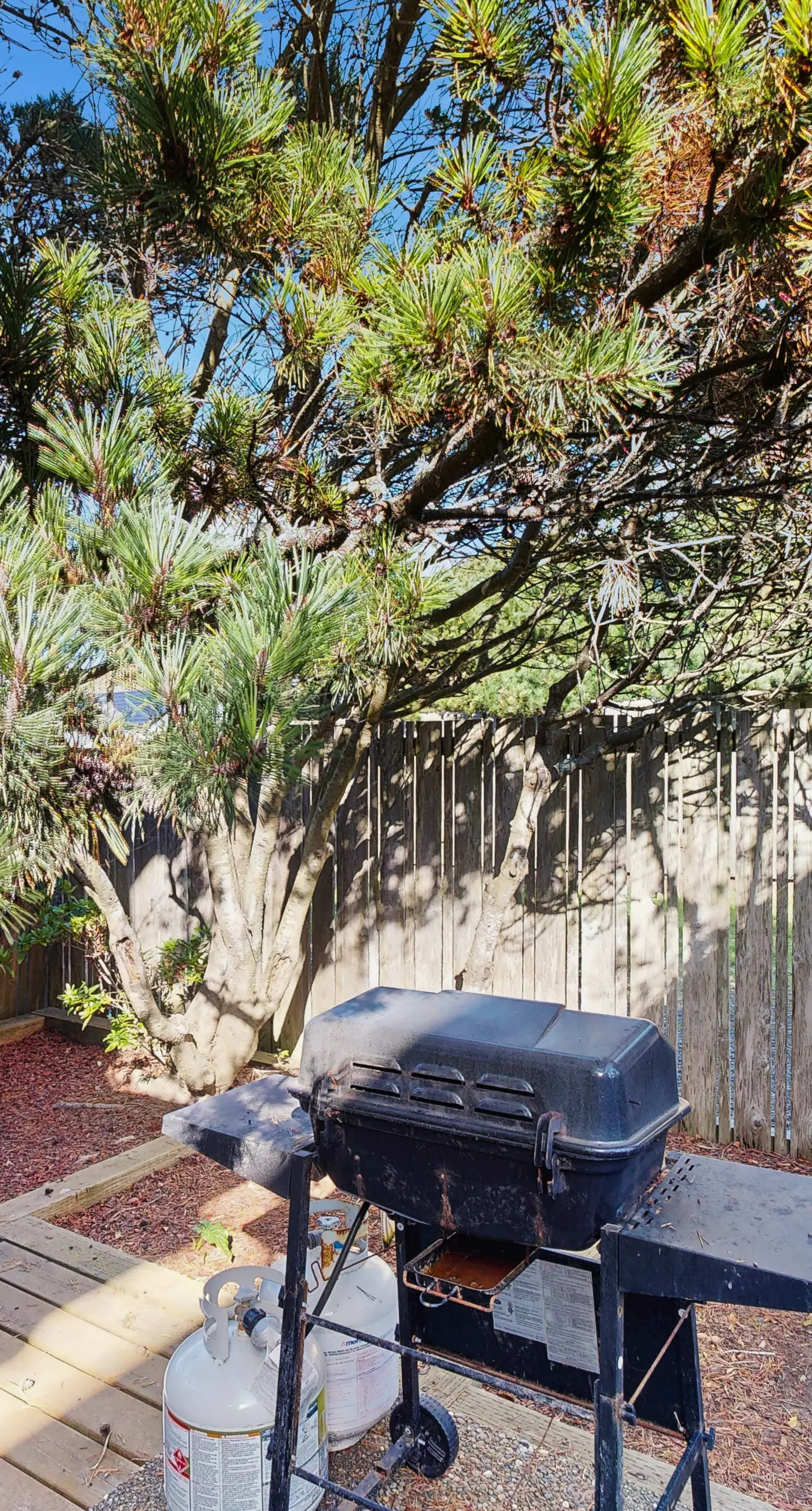 Fairhaven - Applegate House & Bennington House