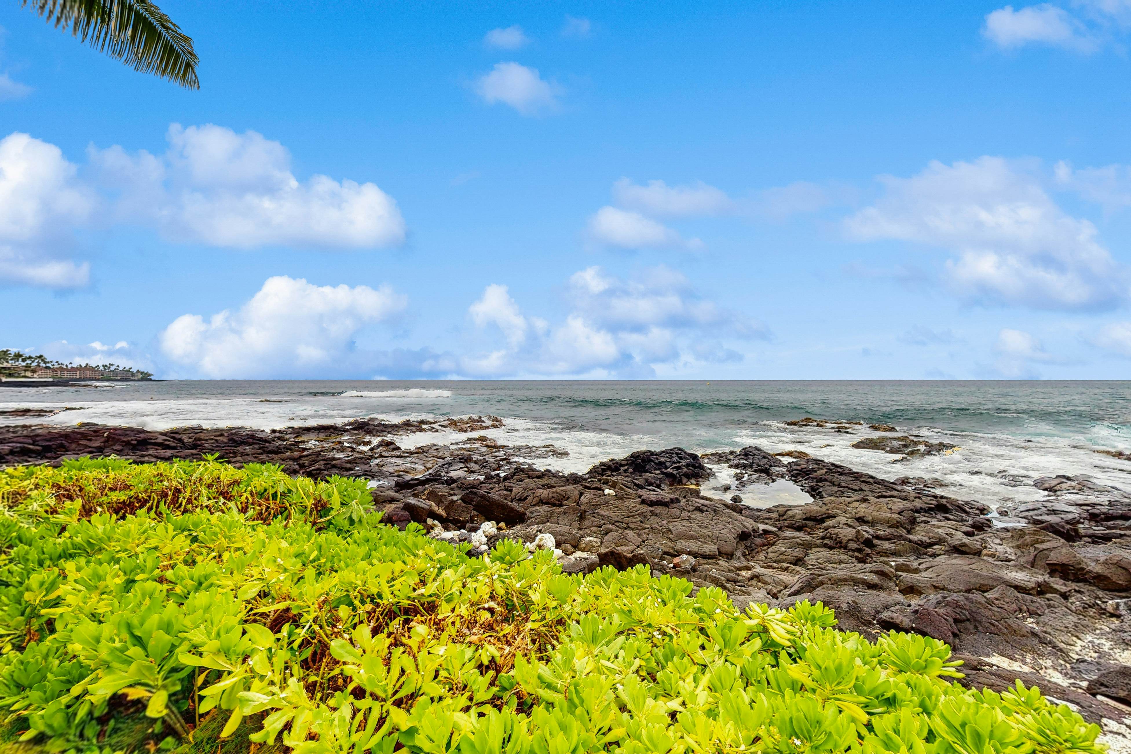 Kona Reef Oceanfront Condo, D6