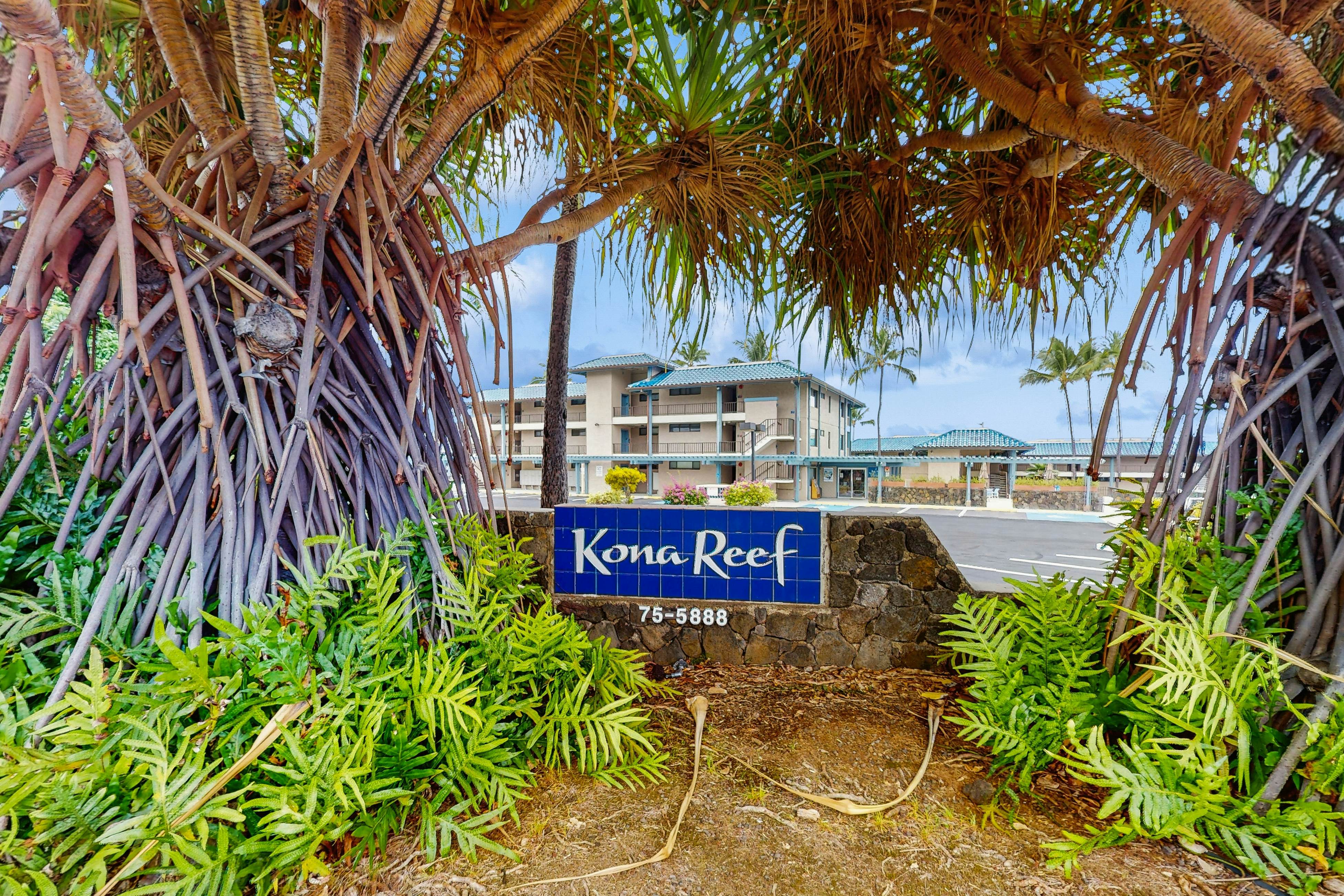 Kona Reef Oceanfront Condo, D6