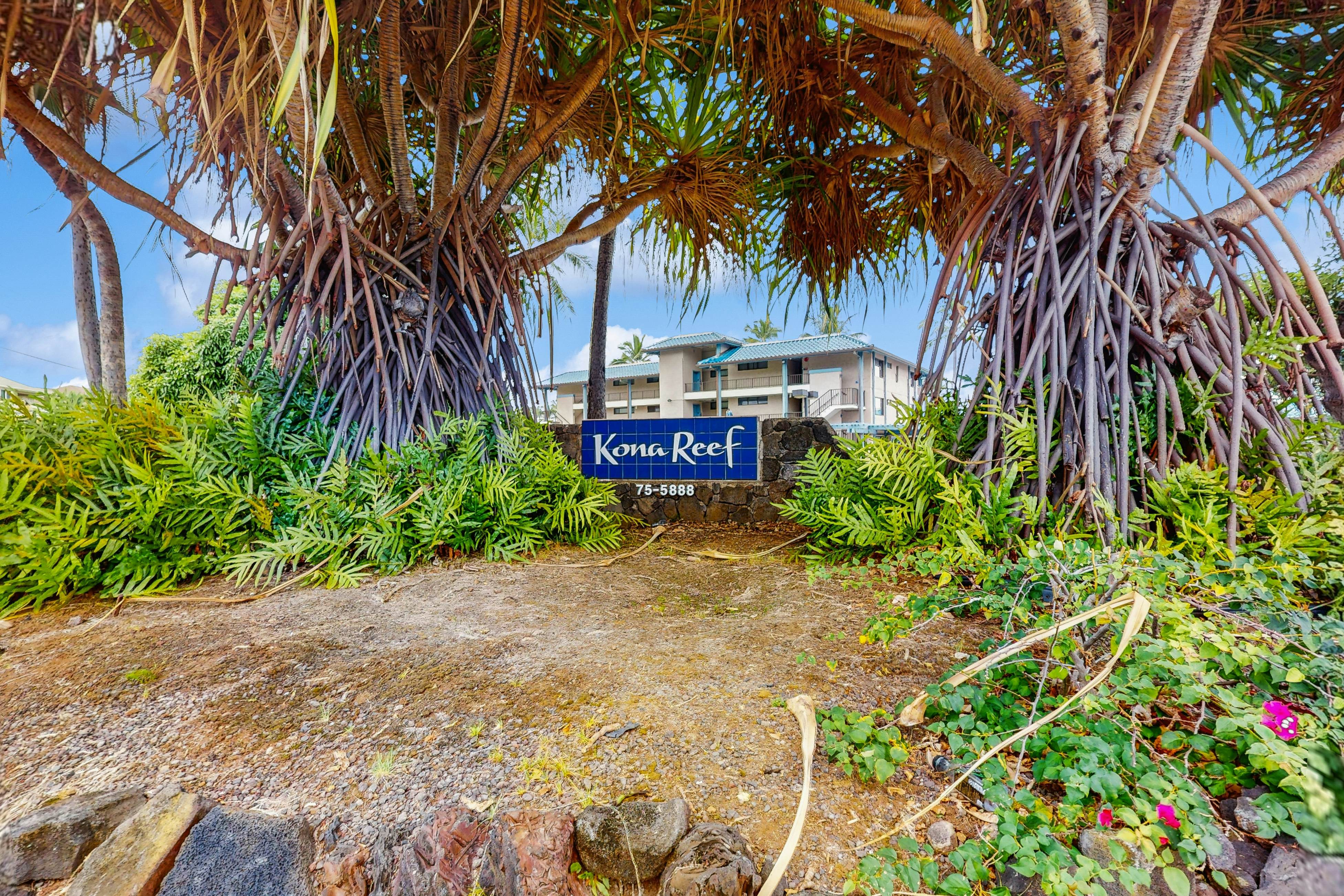 Kona Reef Oceanfront Condo, D6