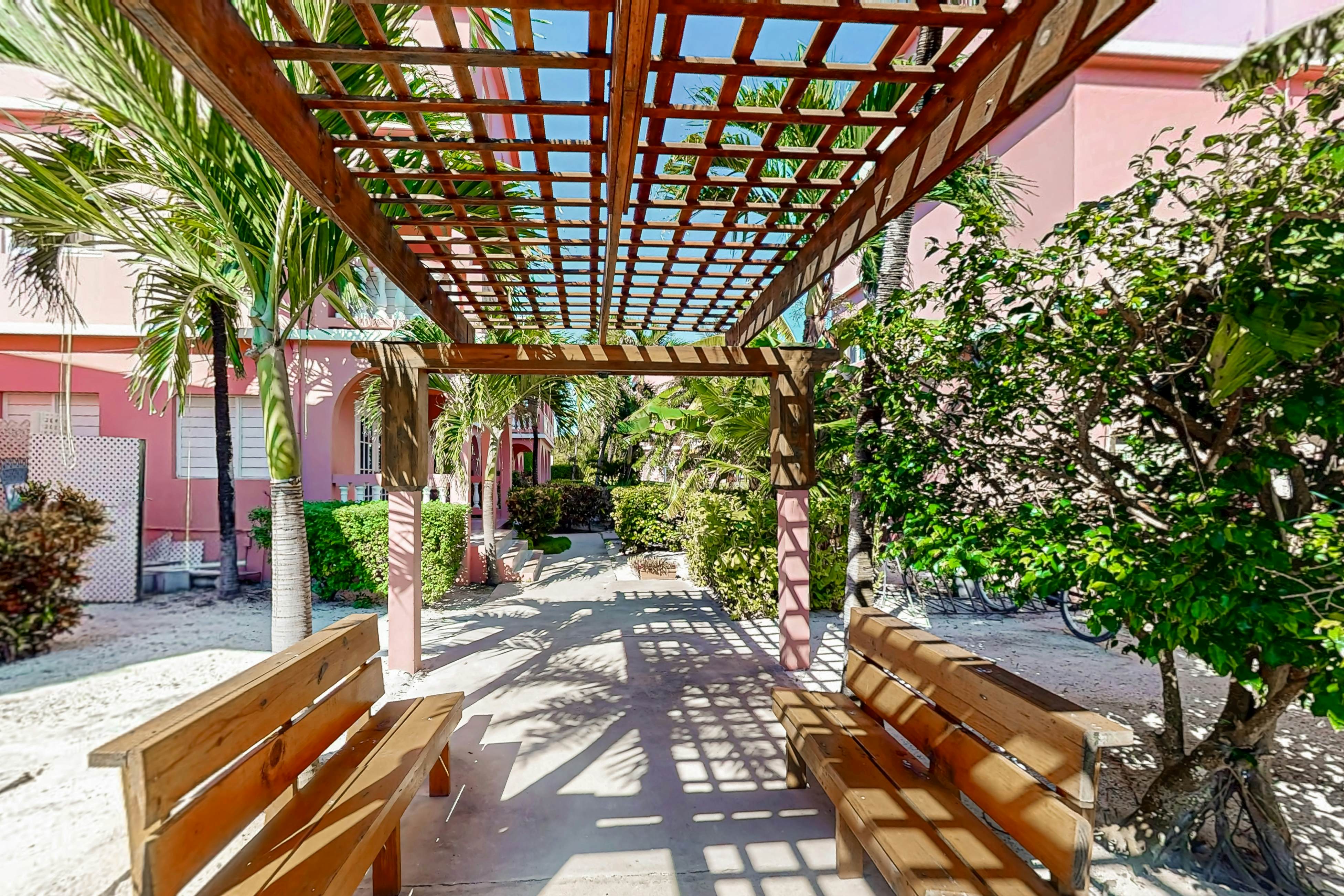 Black Orchid #22 at Caribe Island  -Gold Standard Certified