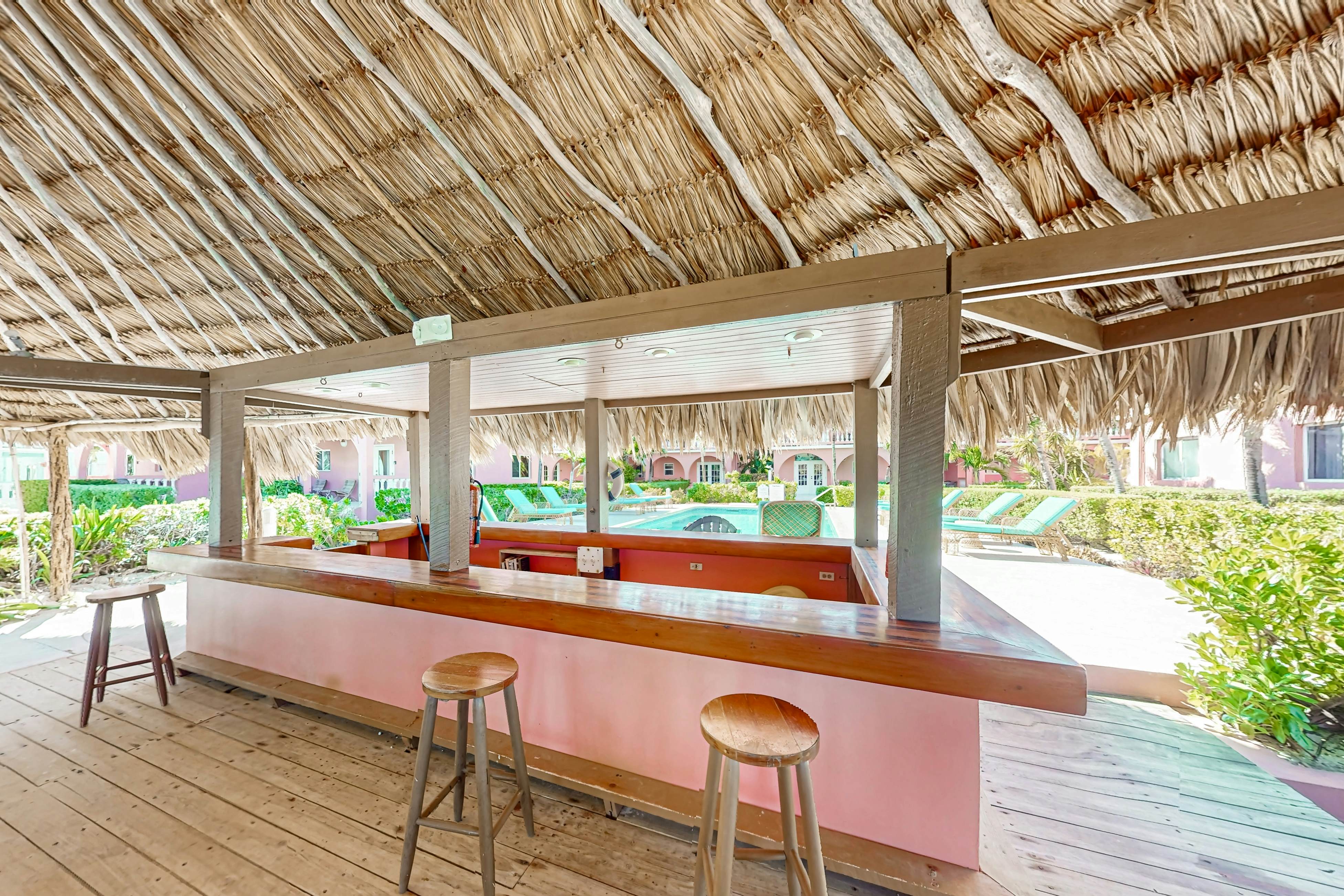 Black Orchid #22 at Caribe Island  -Gold Standard Certified