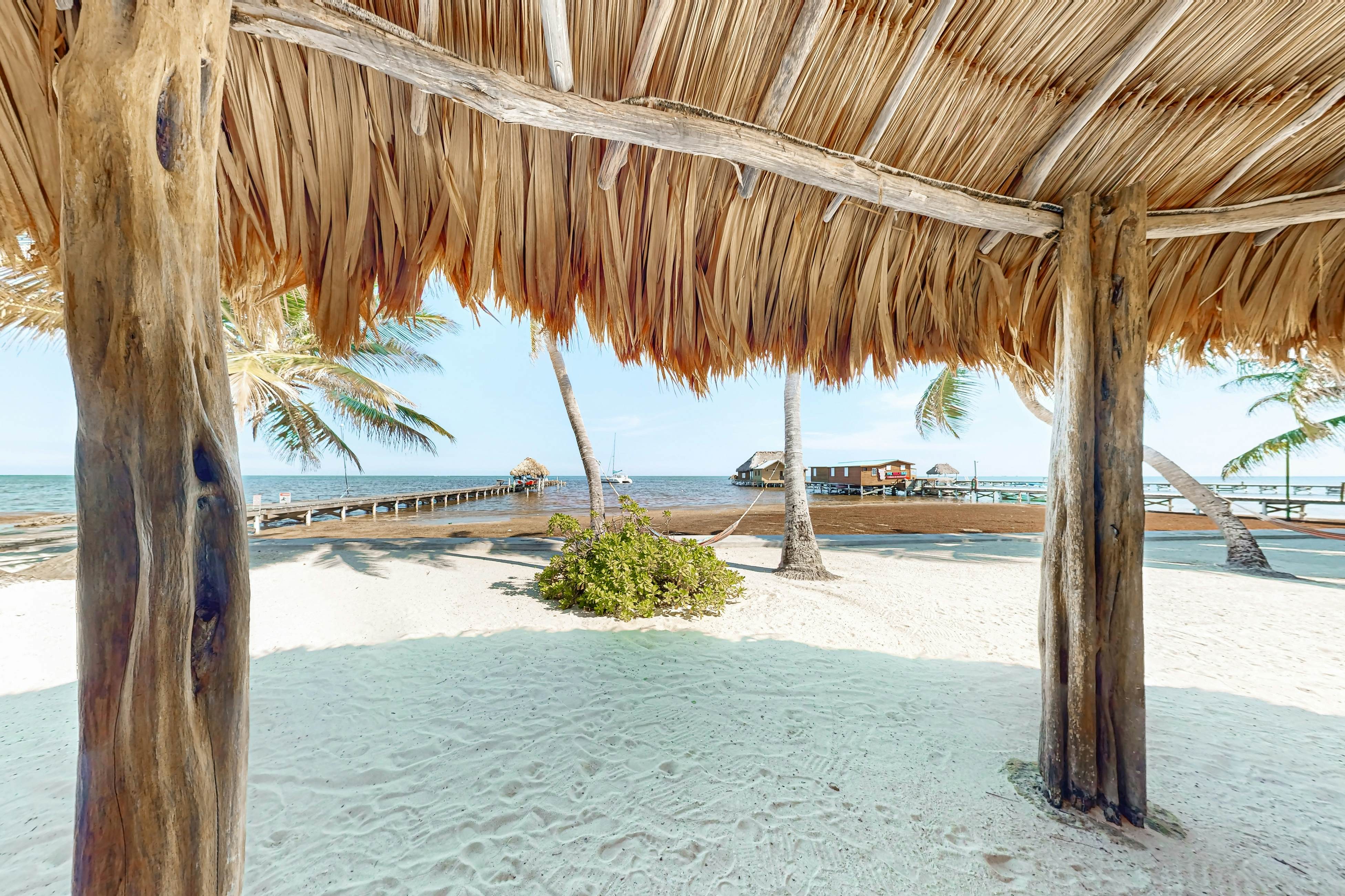 Red Ginger #13 at Caribe Island  -Gold Standard Certified