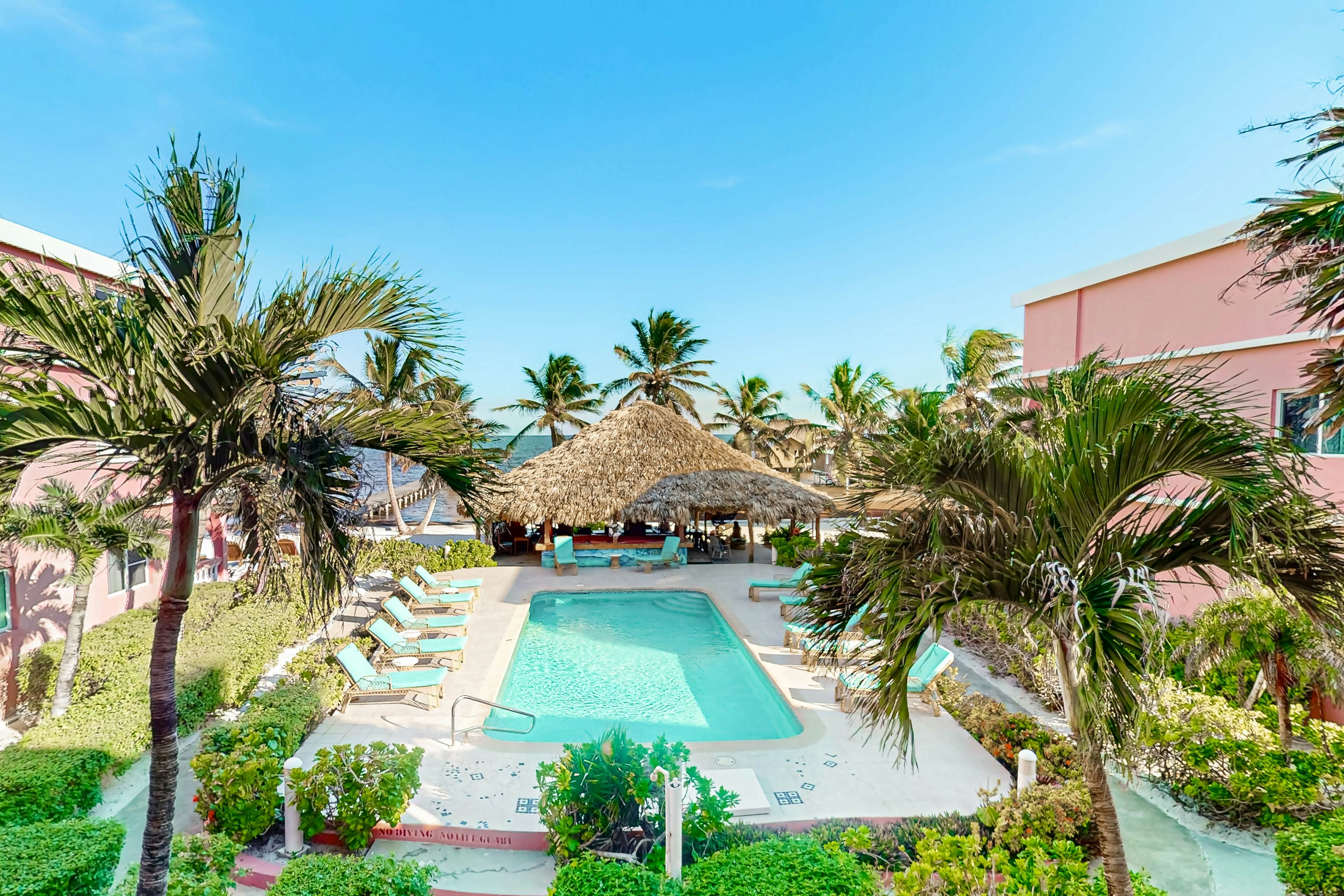 Zinnia #23 at Caribe Island  -Gold Standard Certified