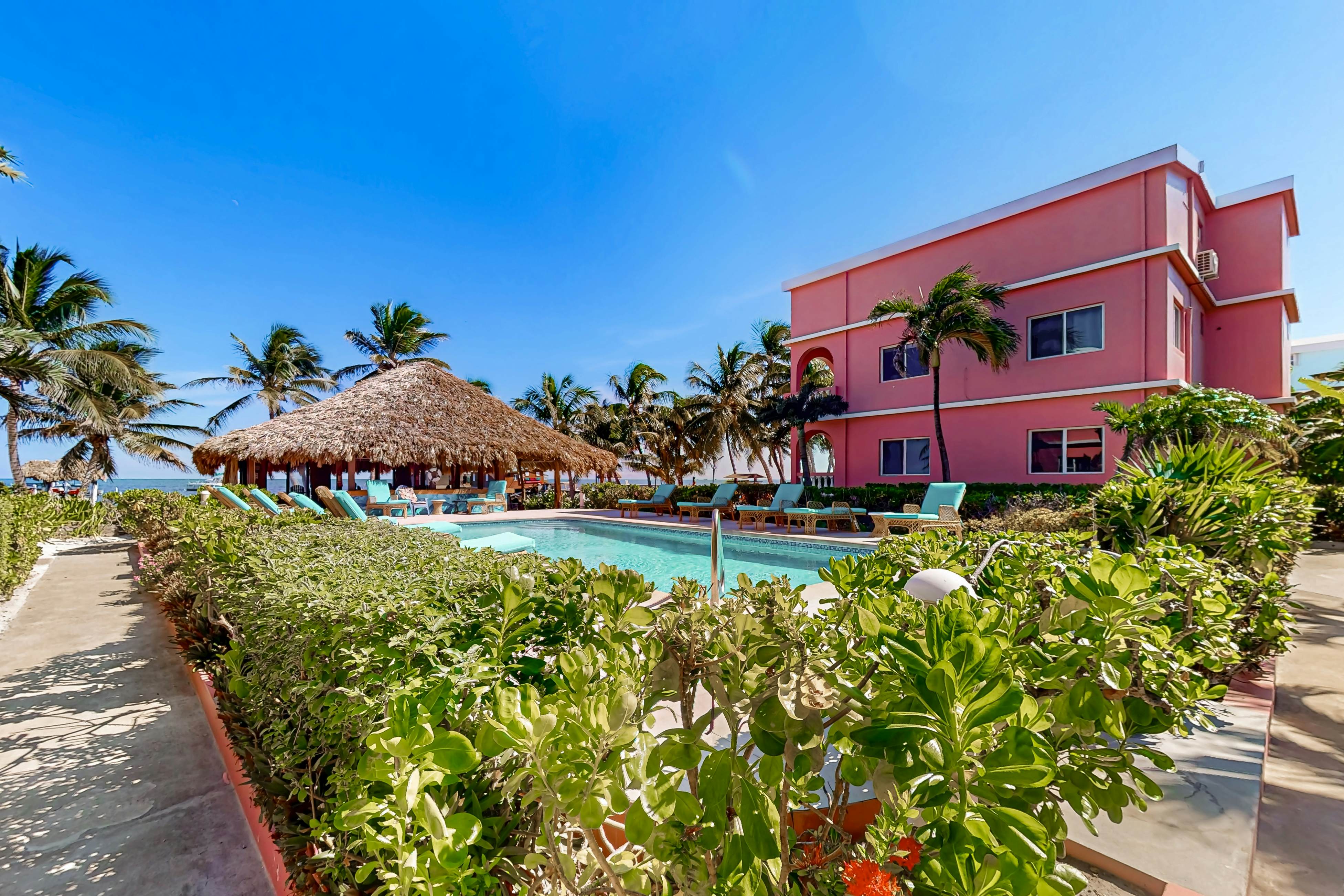 Hibiscus #1 at Caribe Island  -Gold Standard Certified
