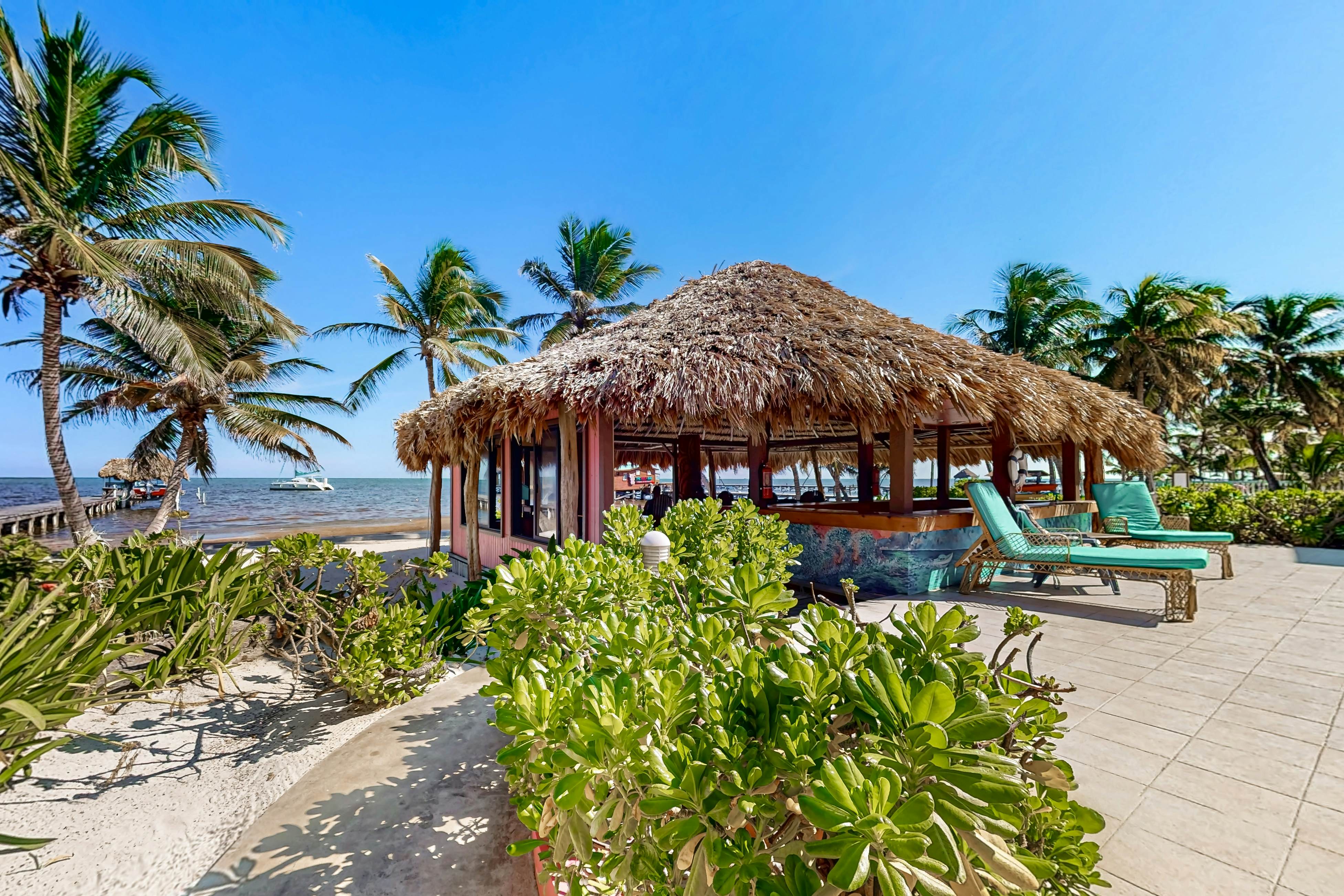 Hibiscus #1 at Caribe Island  -Gold Standard Certified