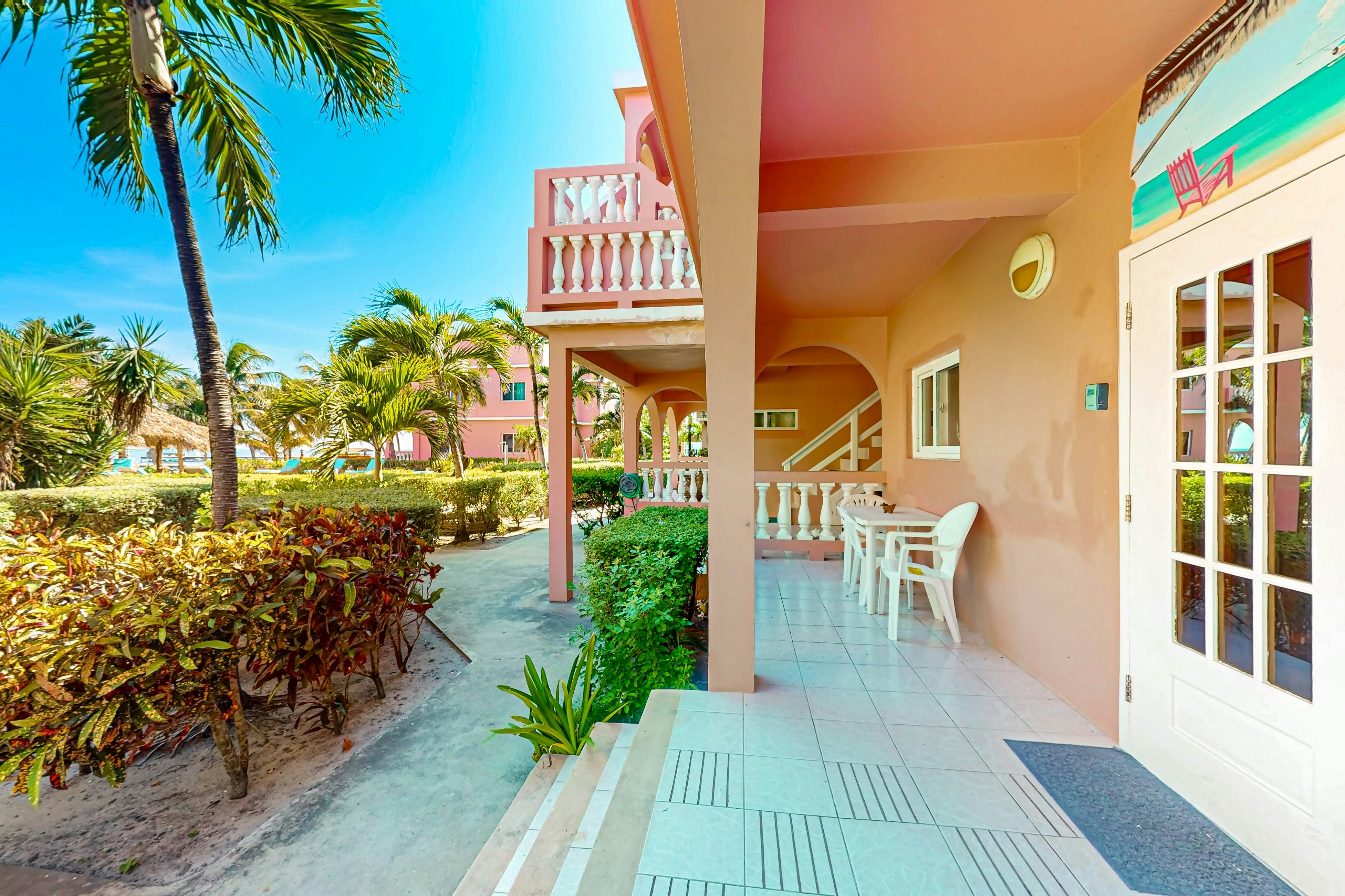 Black Orchid #22 at Caribe Island  -Gold Standard Certified