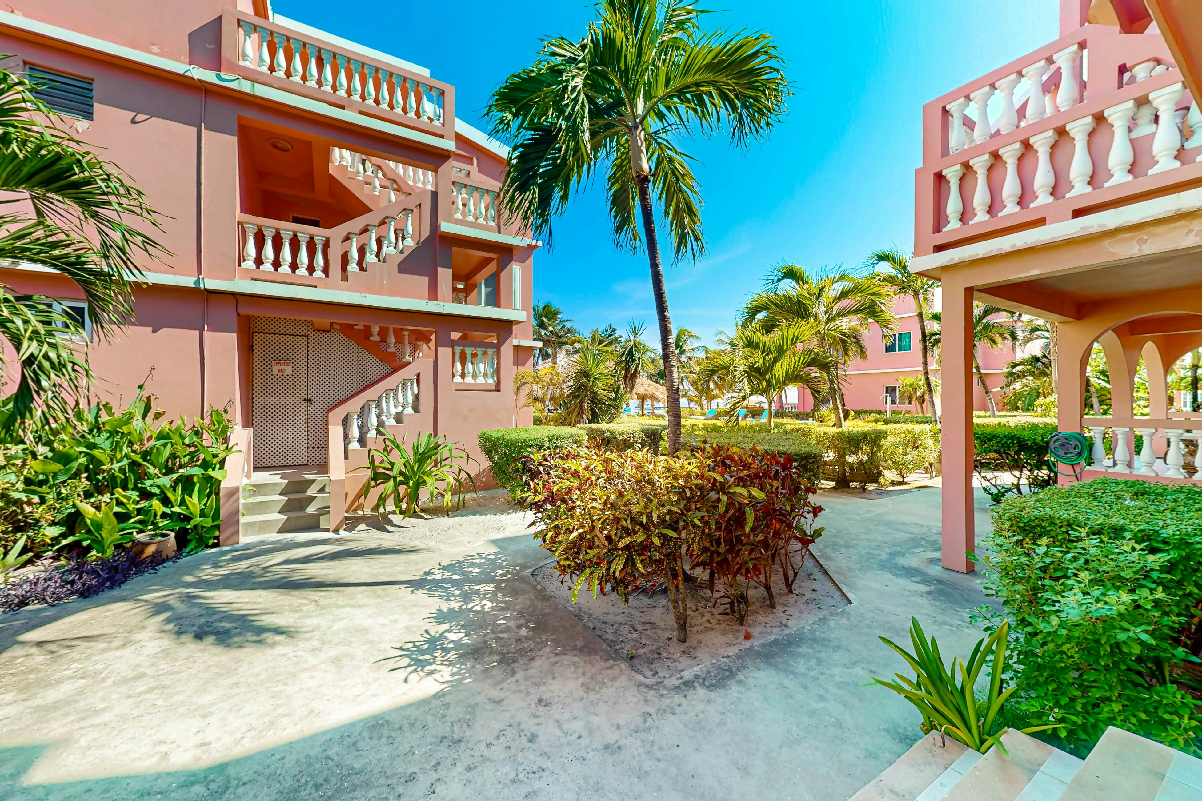 Black Orchid #22 at Caribe Island  -Gold Standard Certified