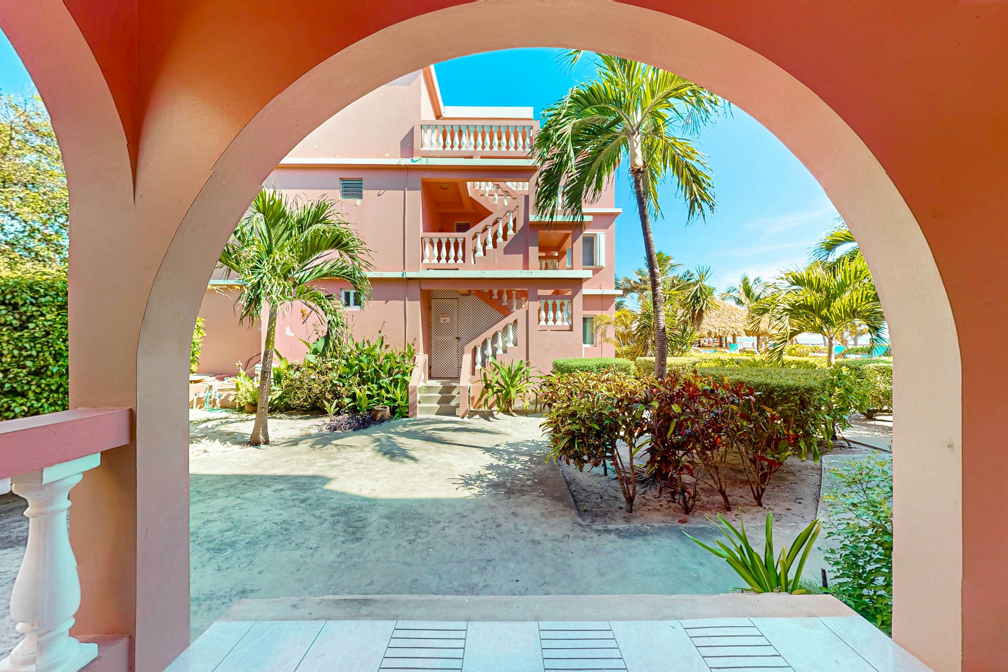 Black Orchid #22 at Caribe Island  -Gold Standard Certified