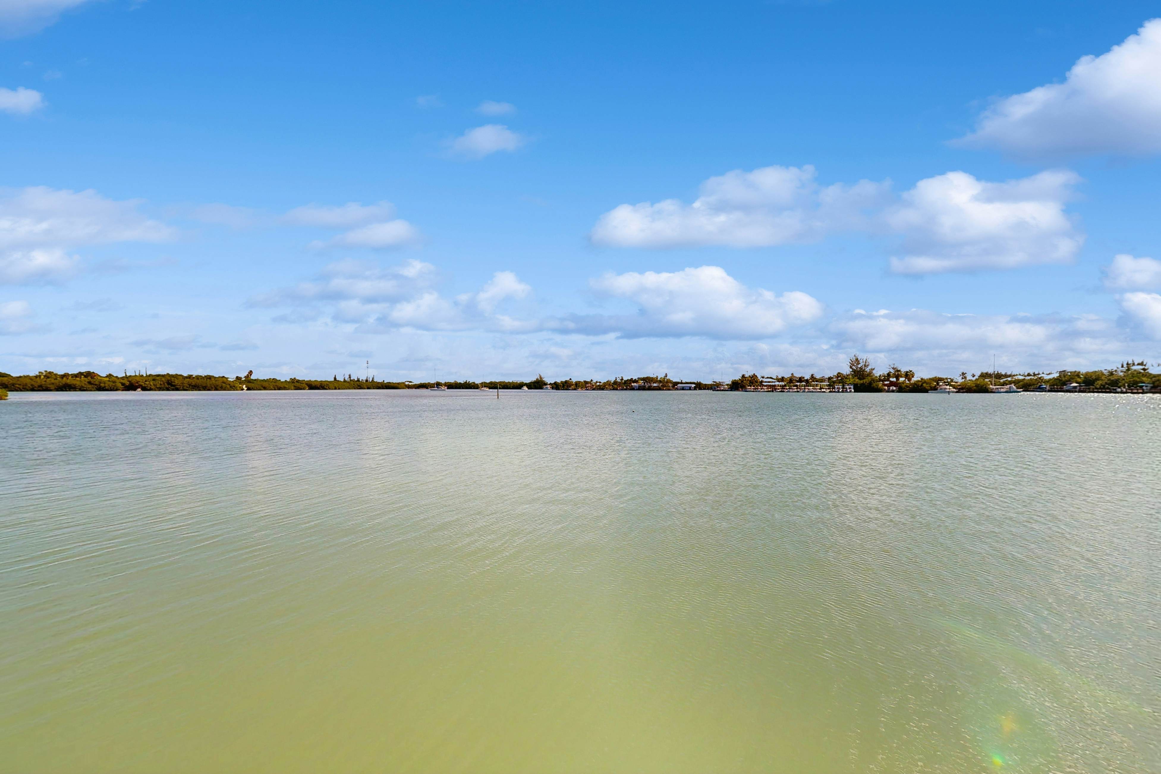 Carpe Diem - Seas The Day