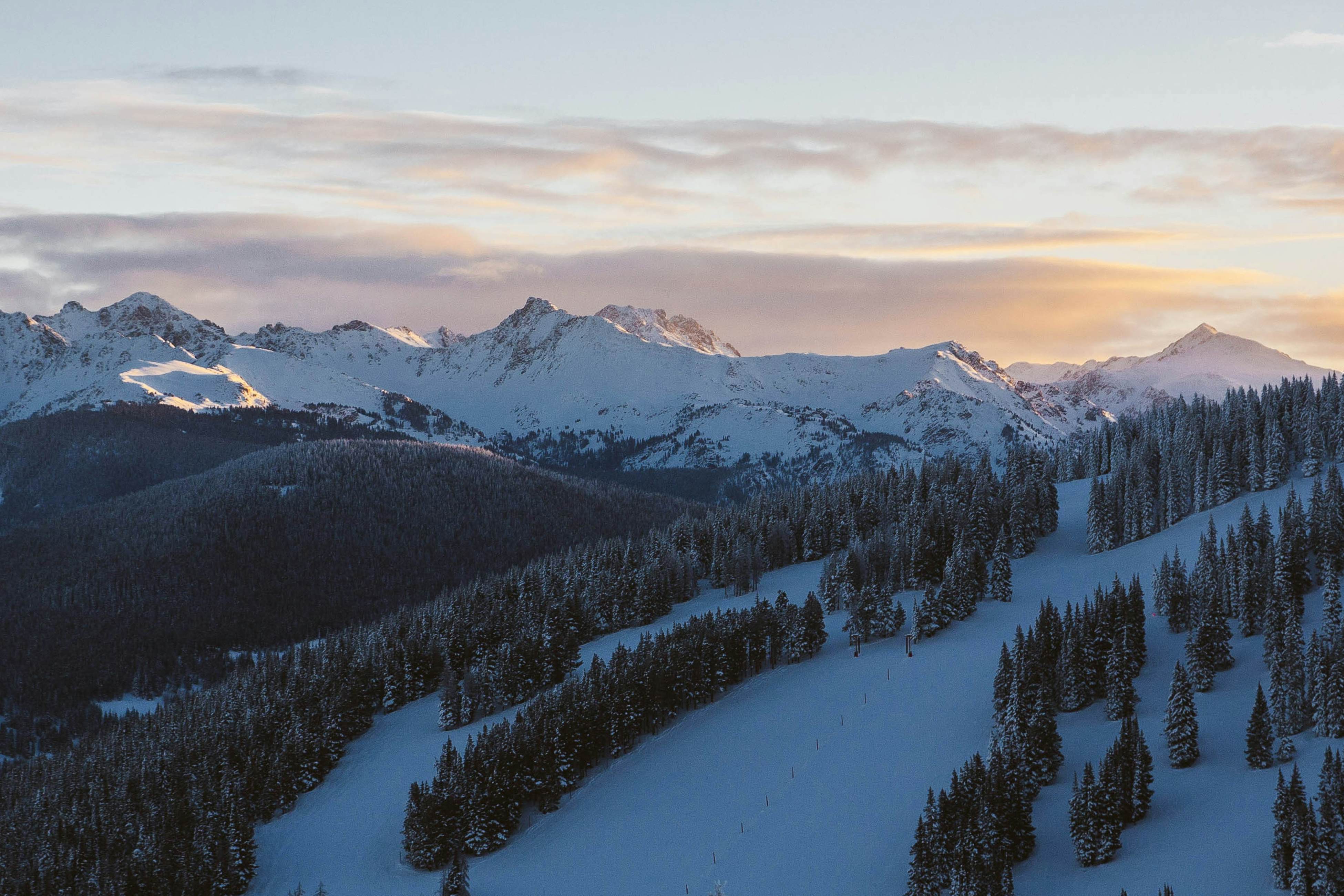 The Timberline Escape