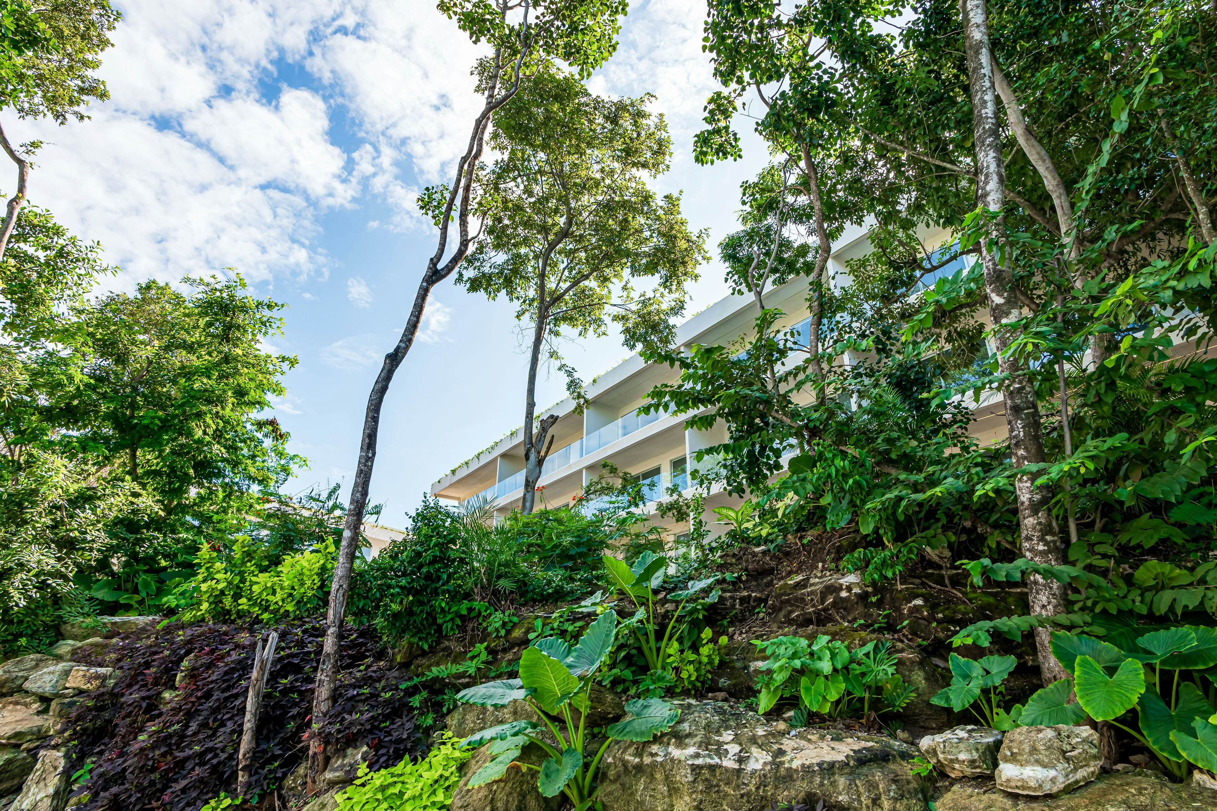 Tropical living TL C108