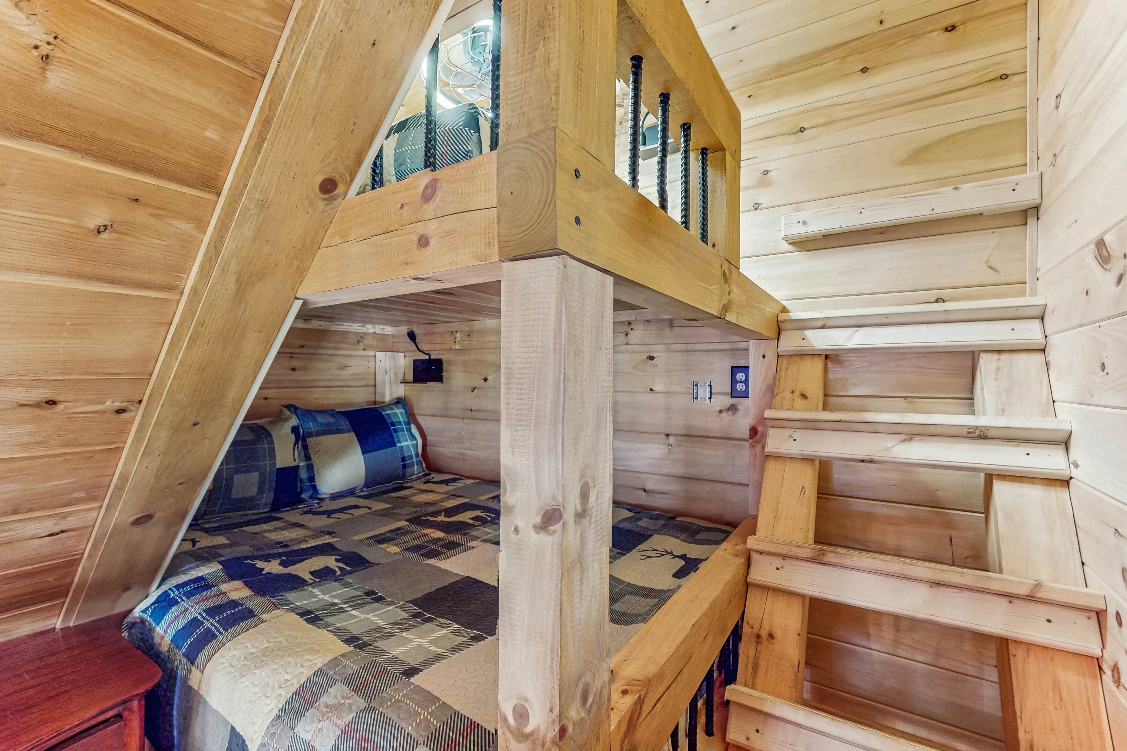 The Bear Necessities