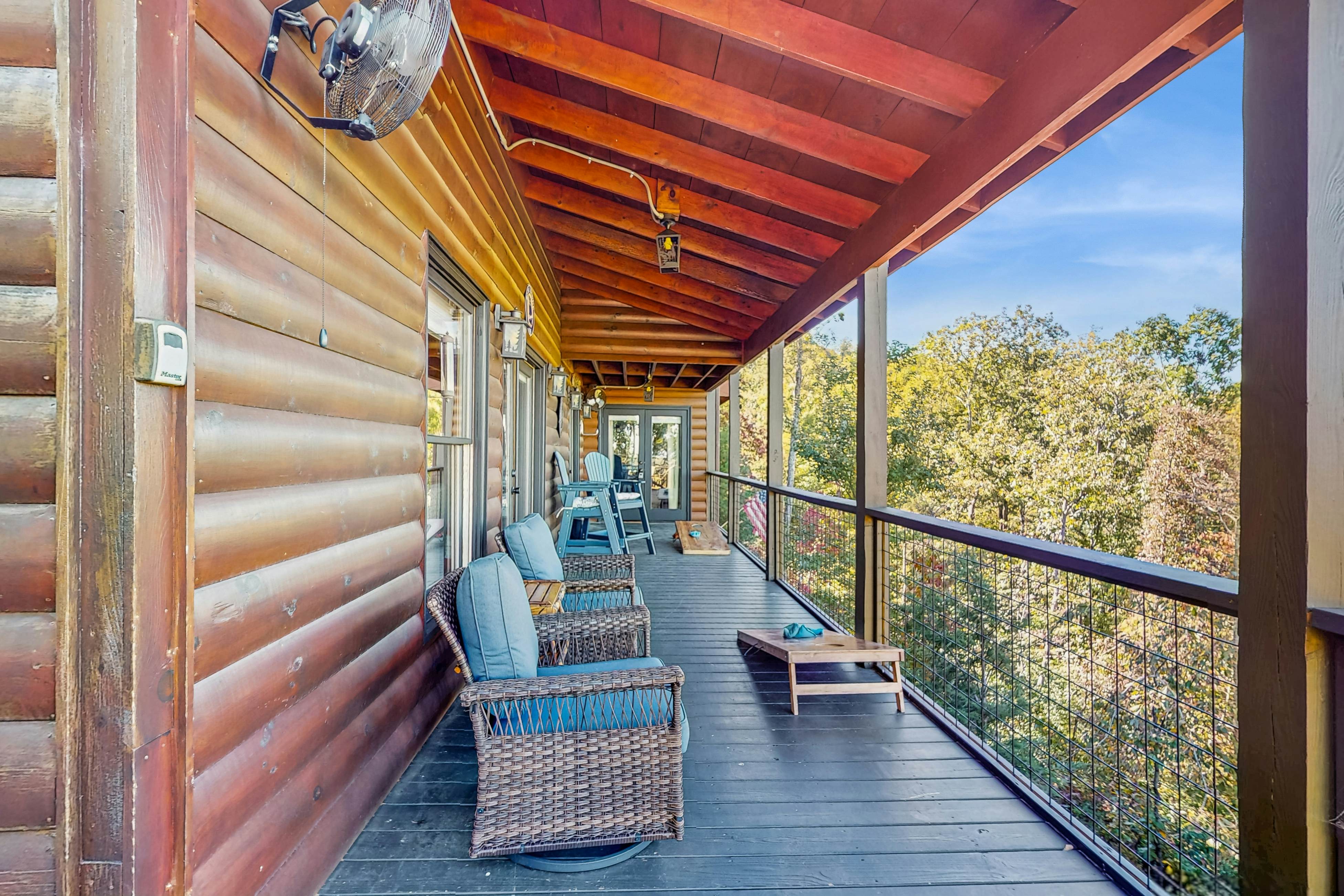 The Bear Necessities