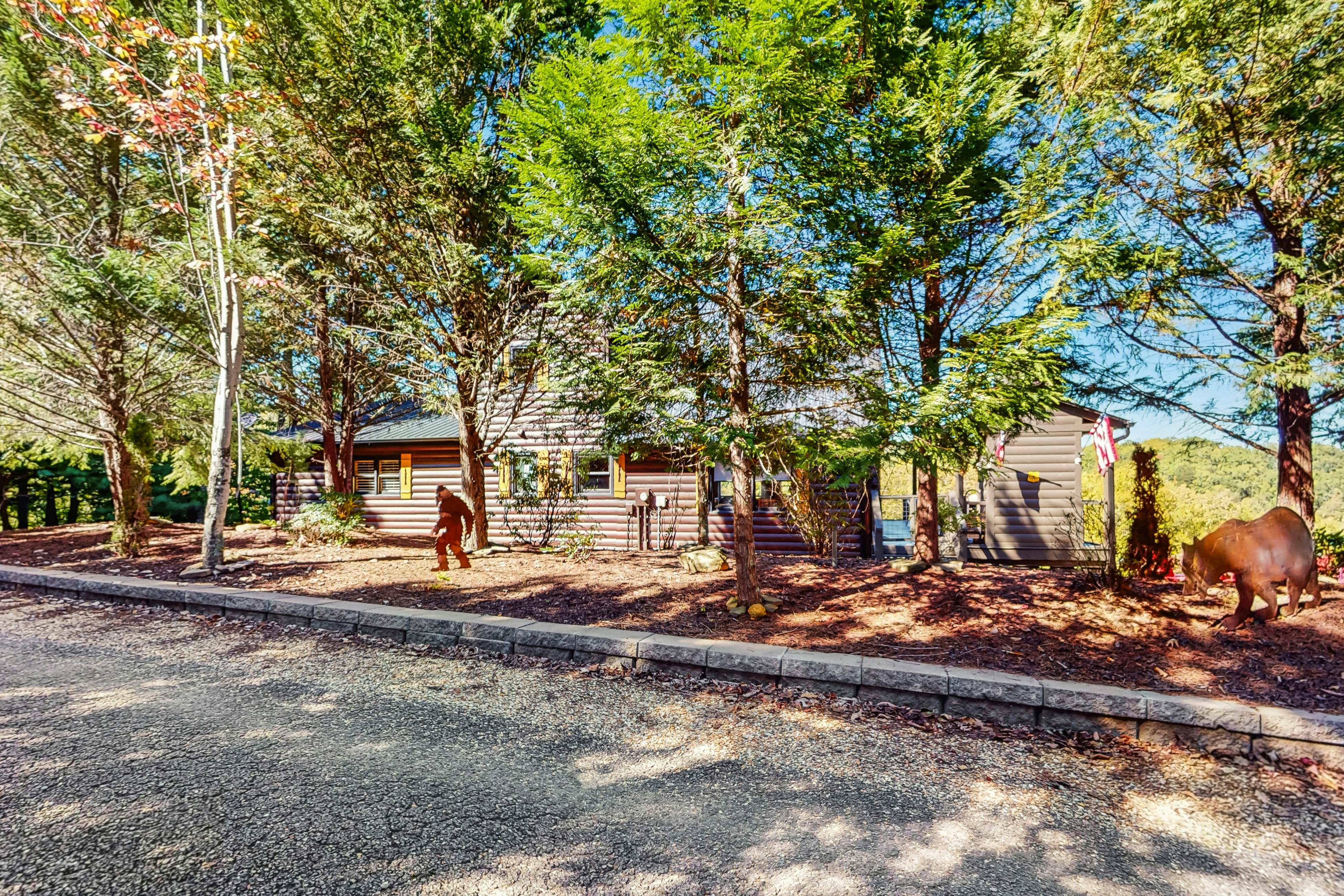 The Bear Necessities