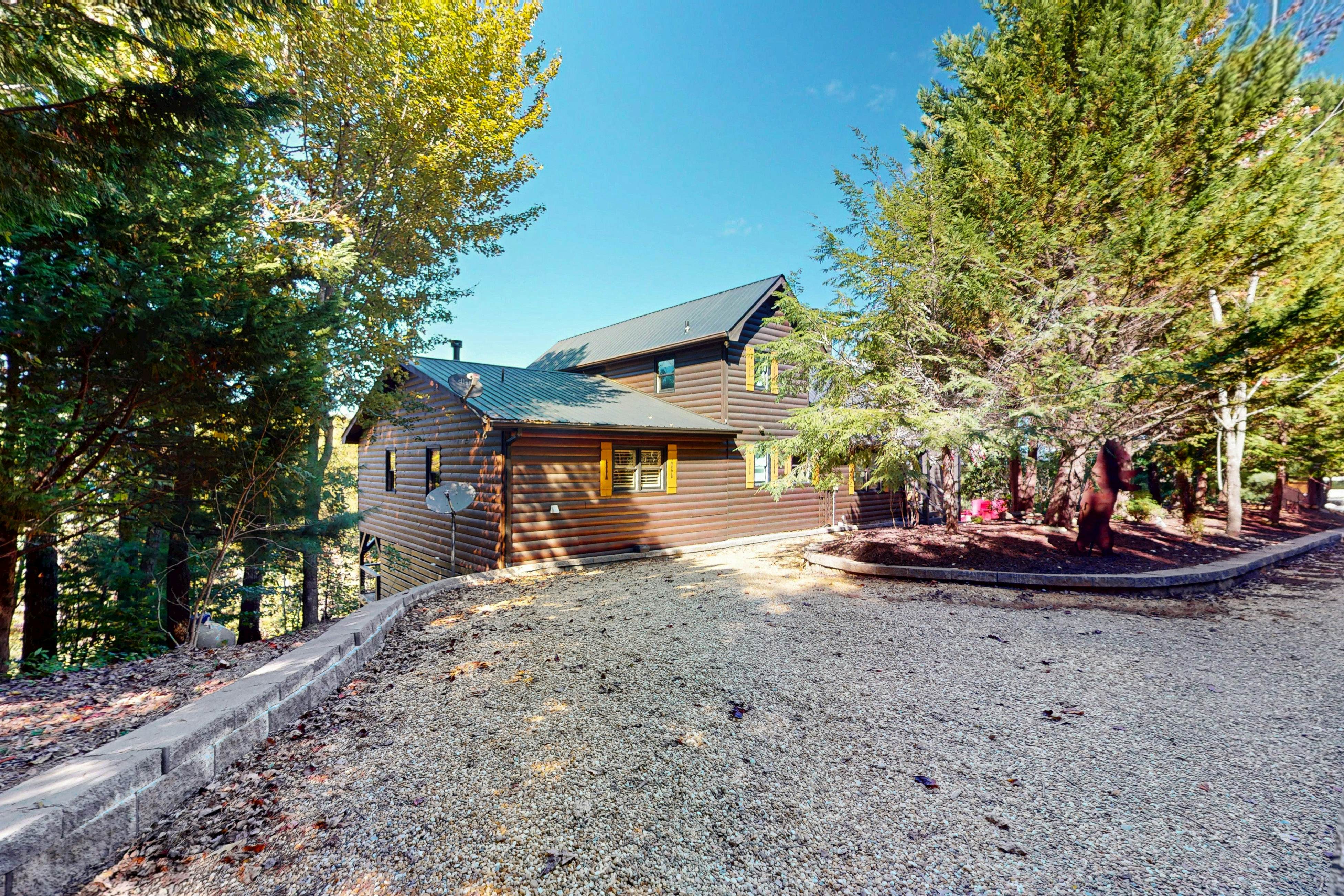 The Bear Necessities