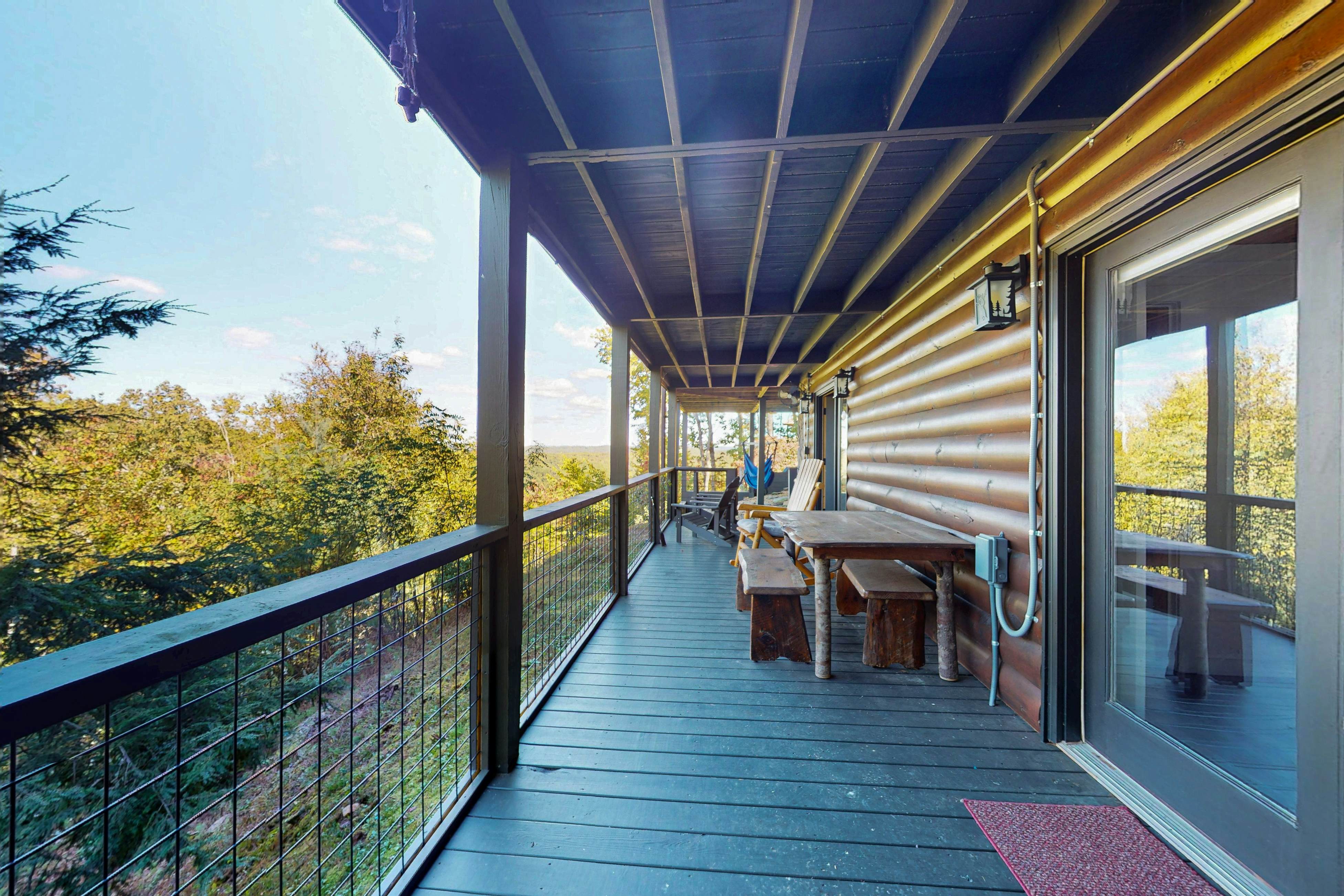 The Bear Necessities