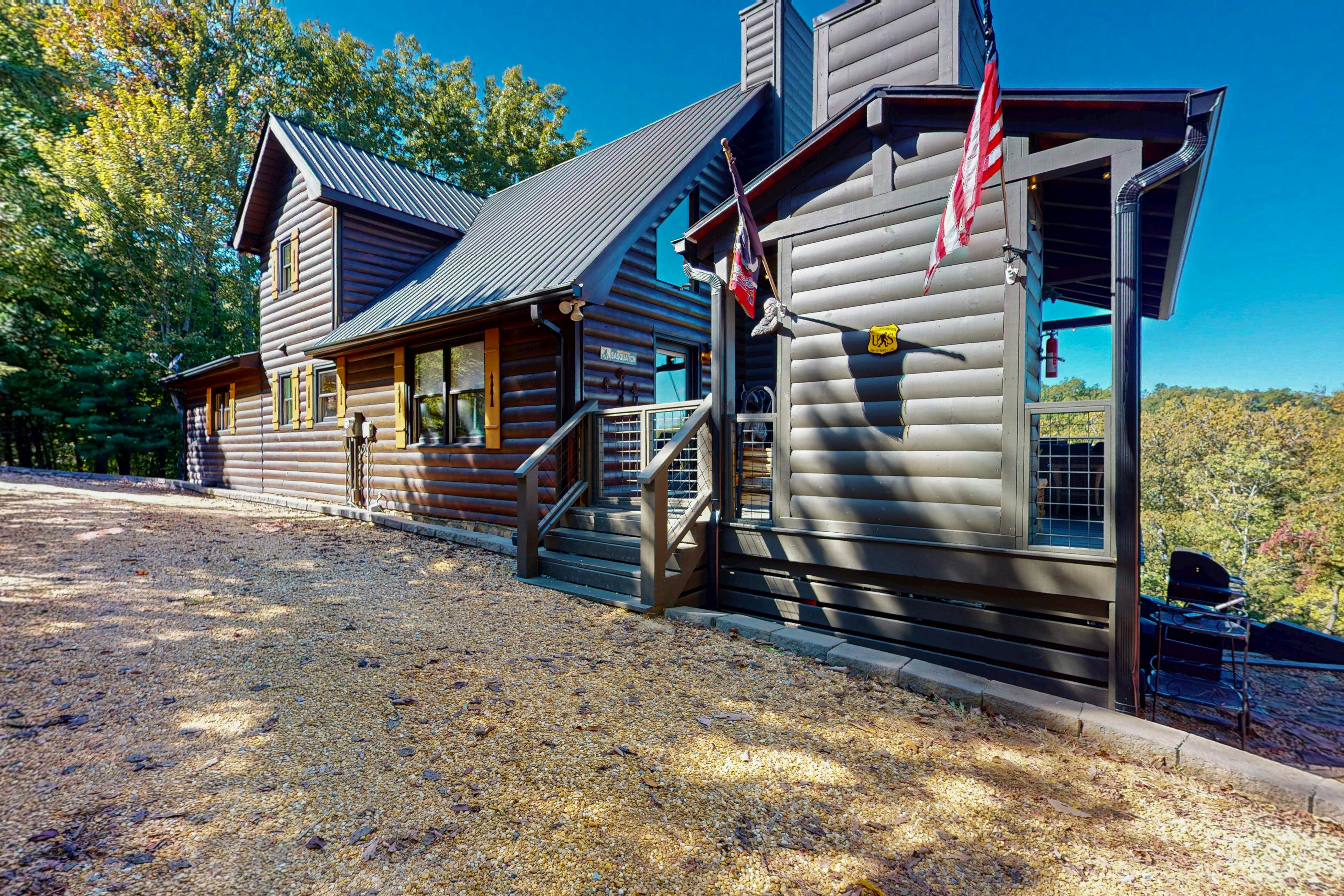 The Bear Necessities