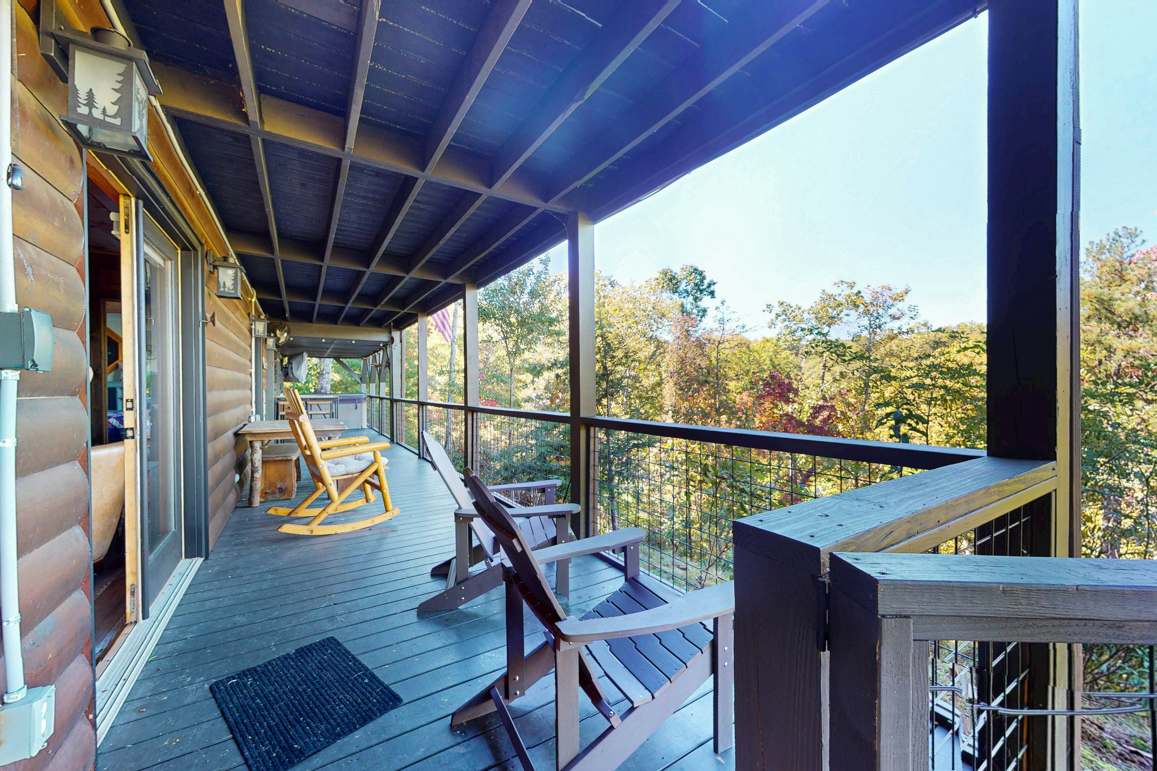 The Bear Necessities