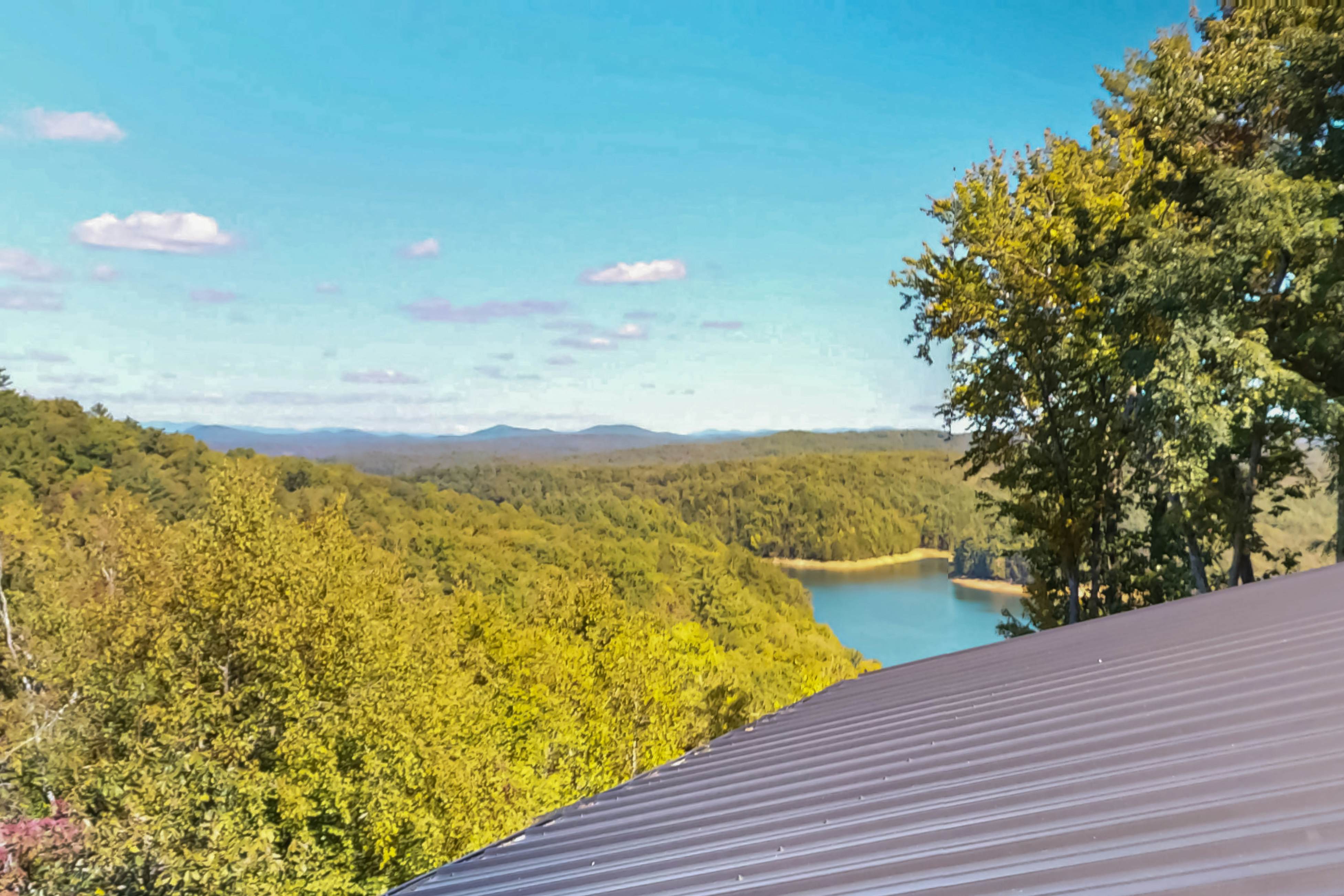 The Bear Necessities