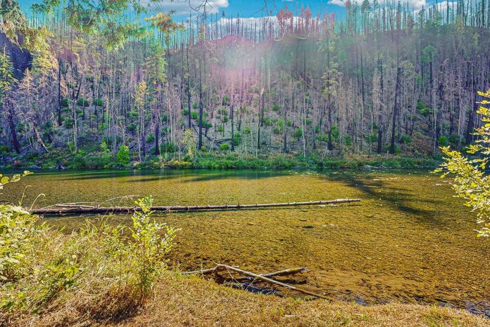 The McKenzie River House