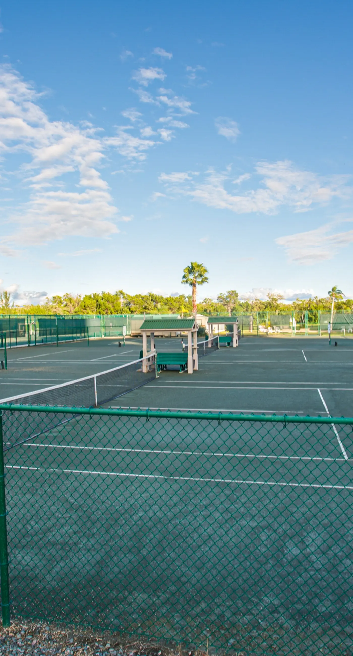 The Turtle Path Condo