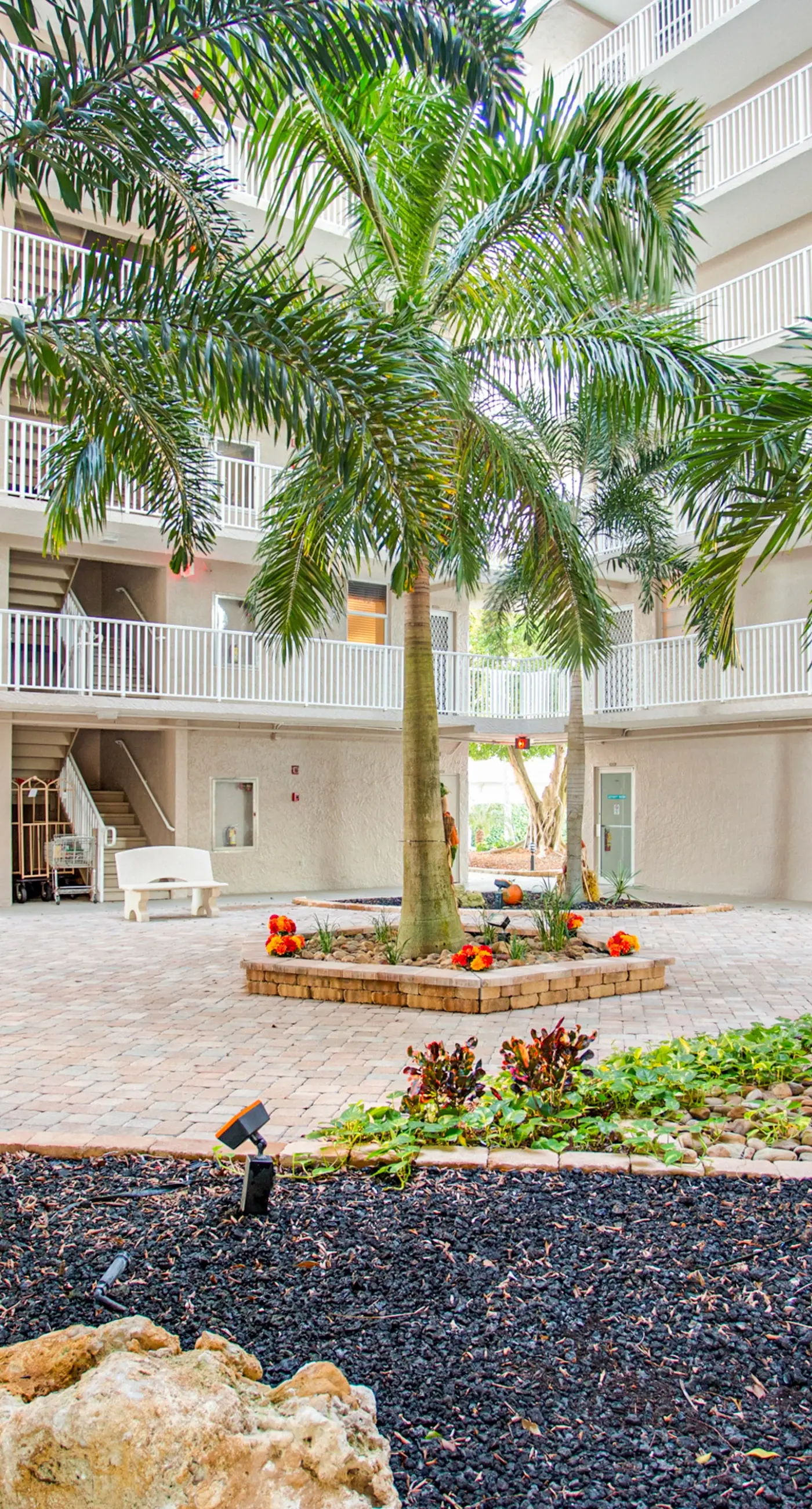 The Turtle Path Condo