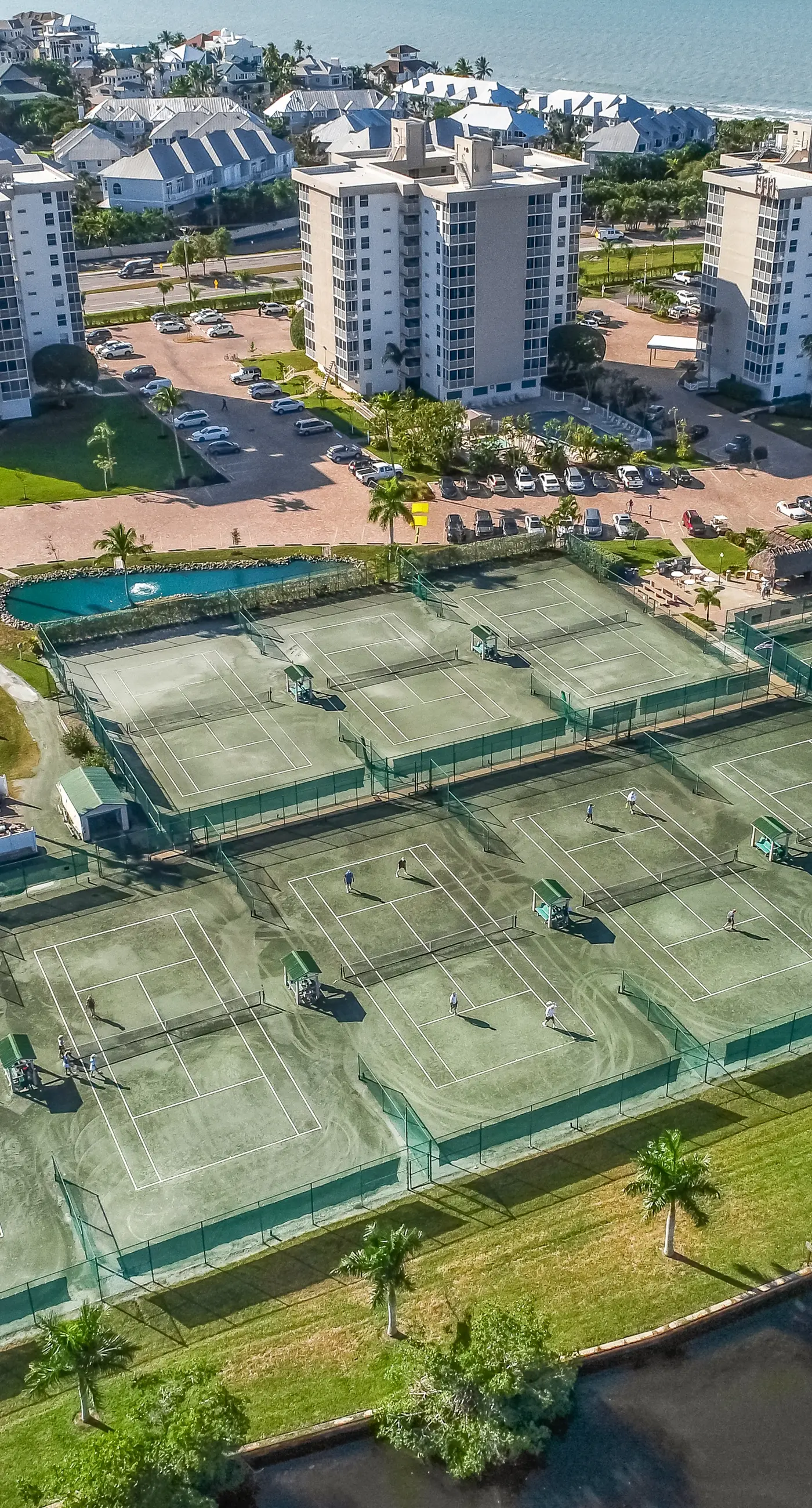 The Turtle Path Condo