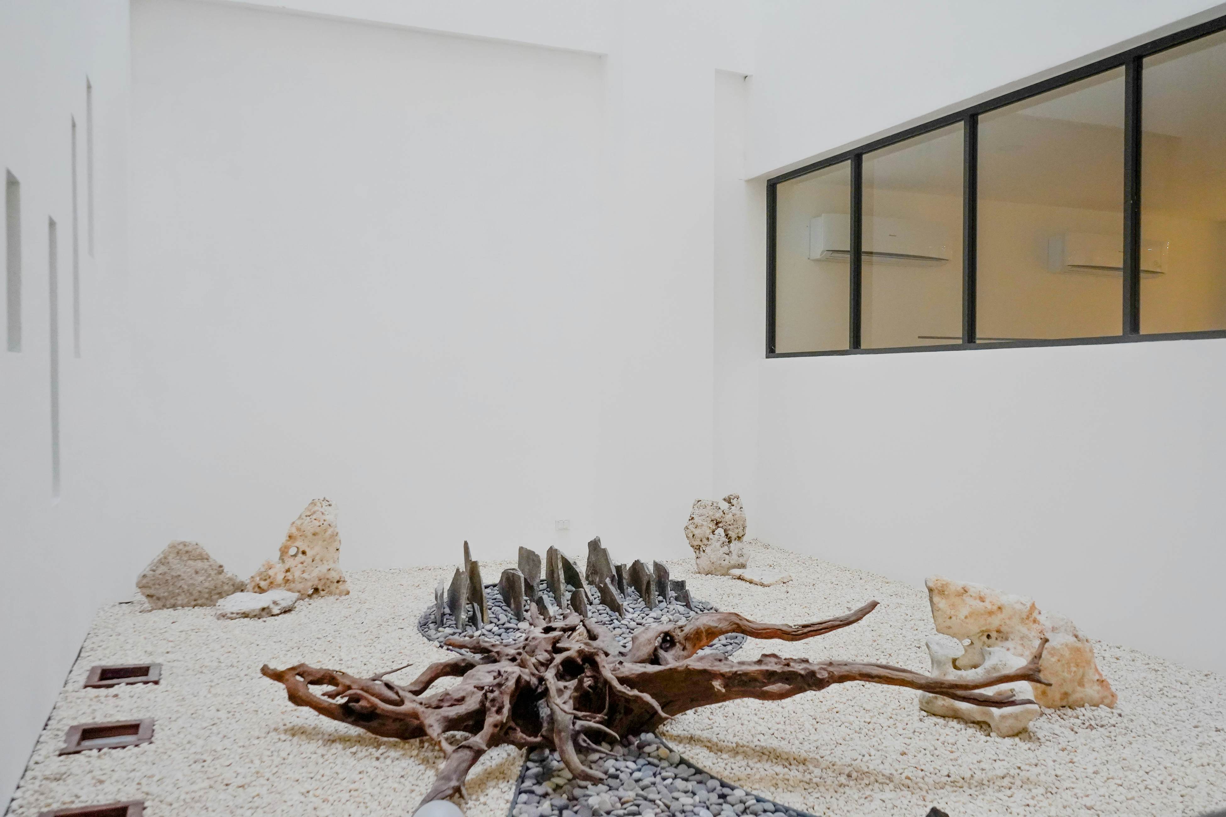 The Serene Shell at Ipana