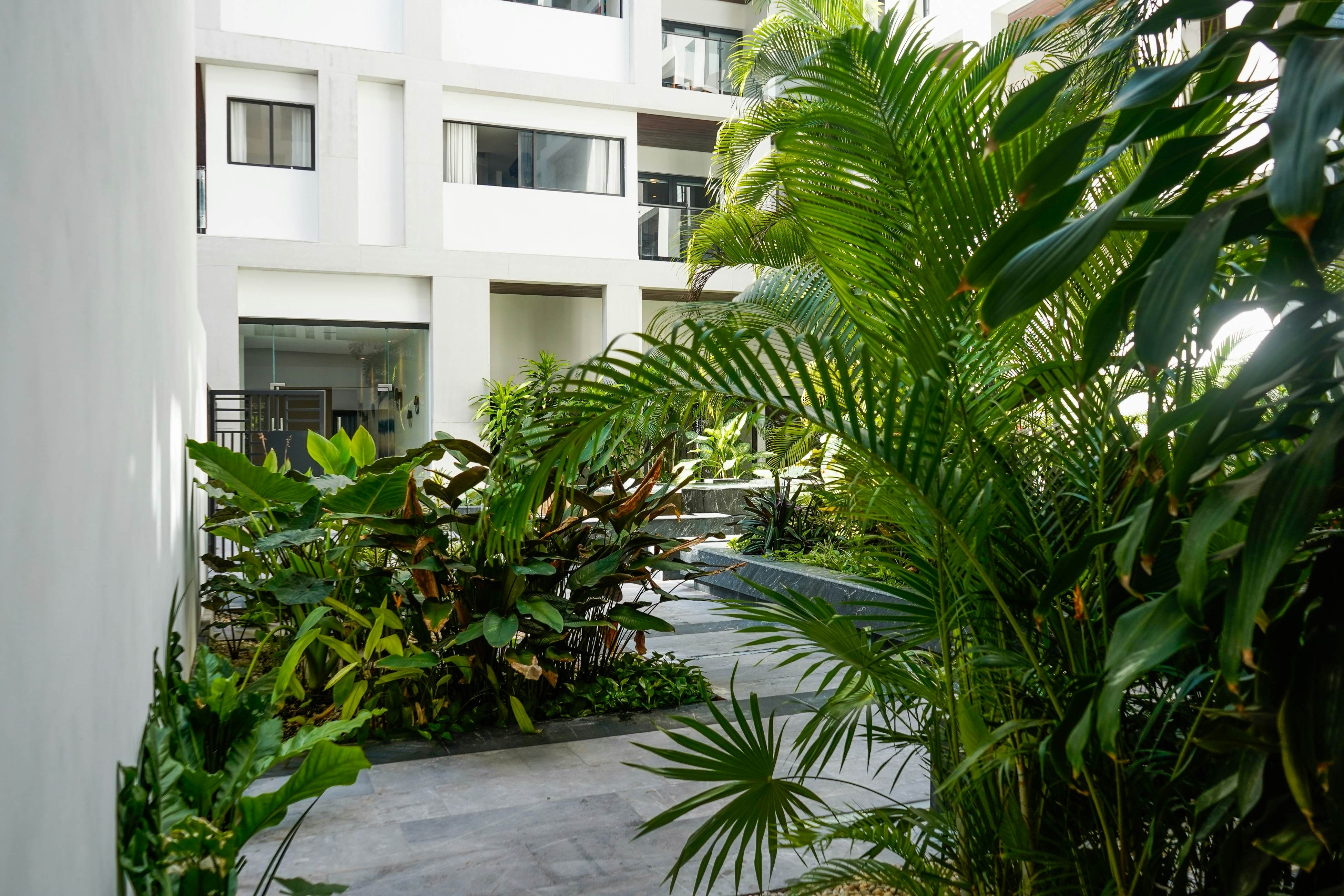 The Serene Shell at Ipana