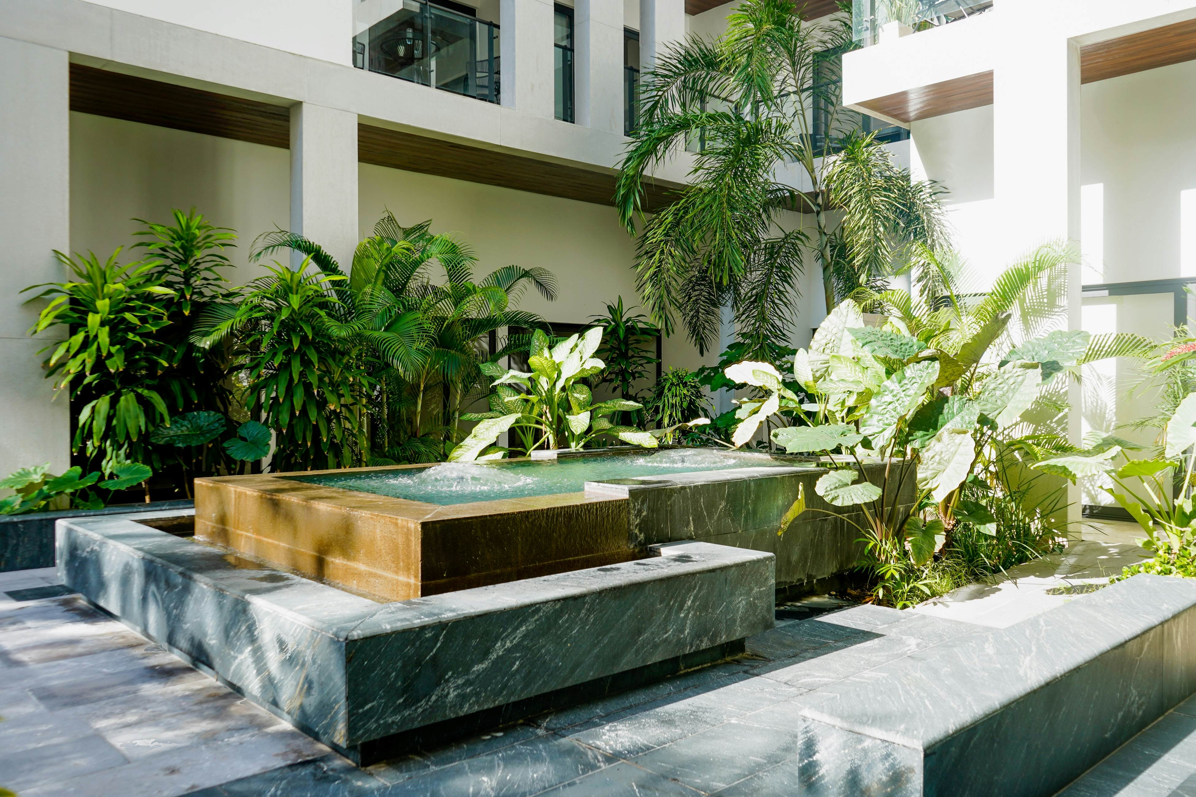 The Serene Shell at Ipana