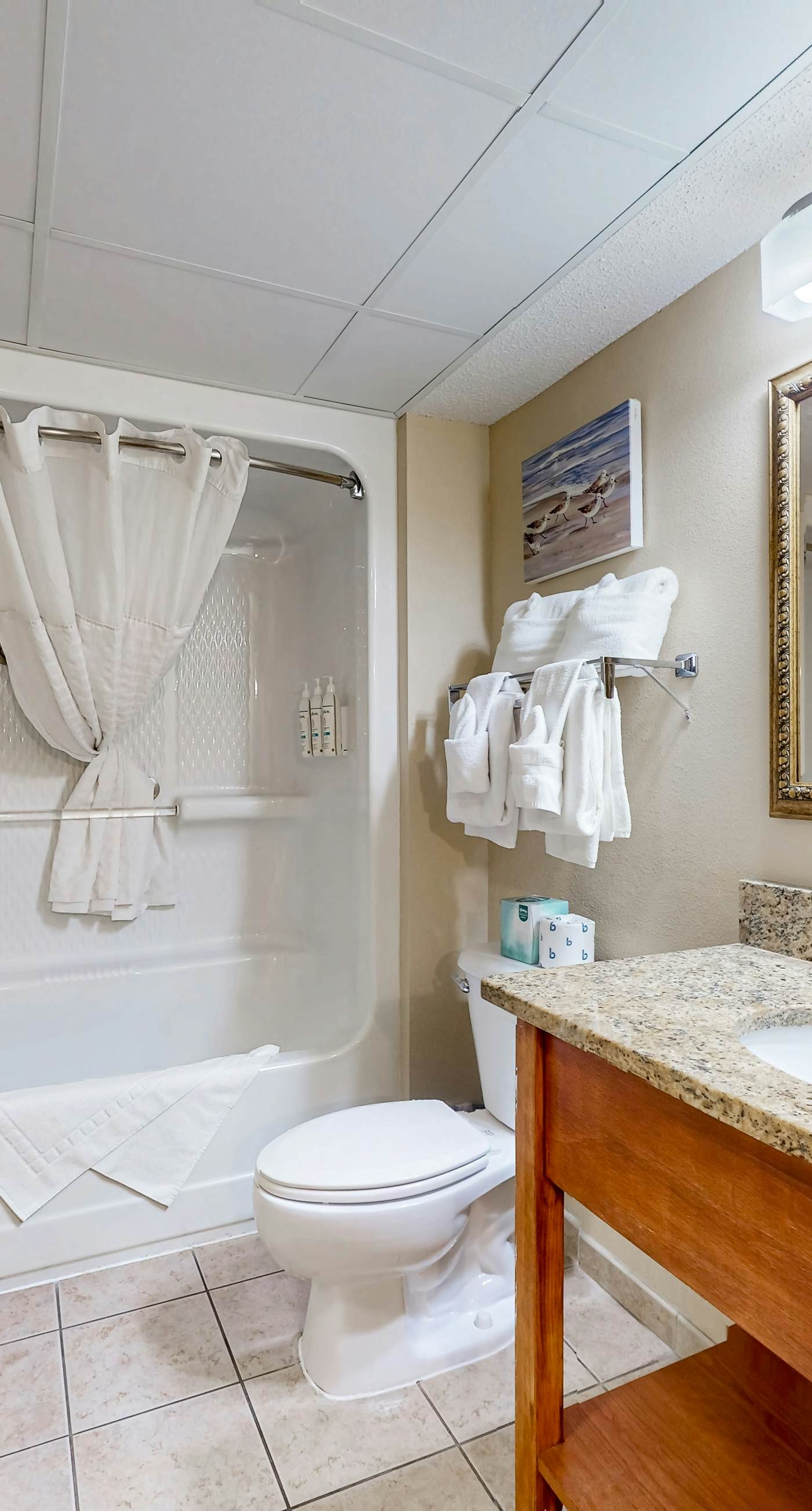 Carolinian Resort Oceanfront 1132