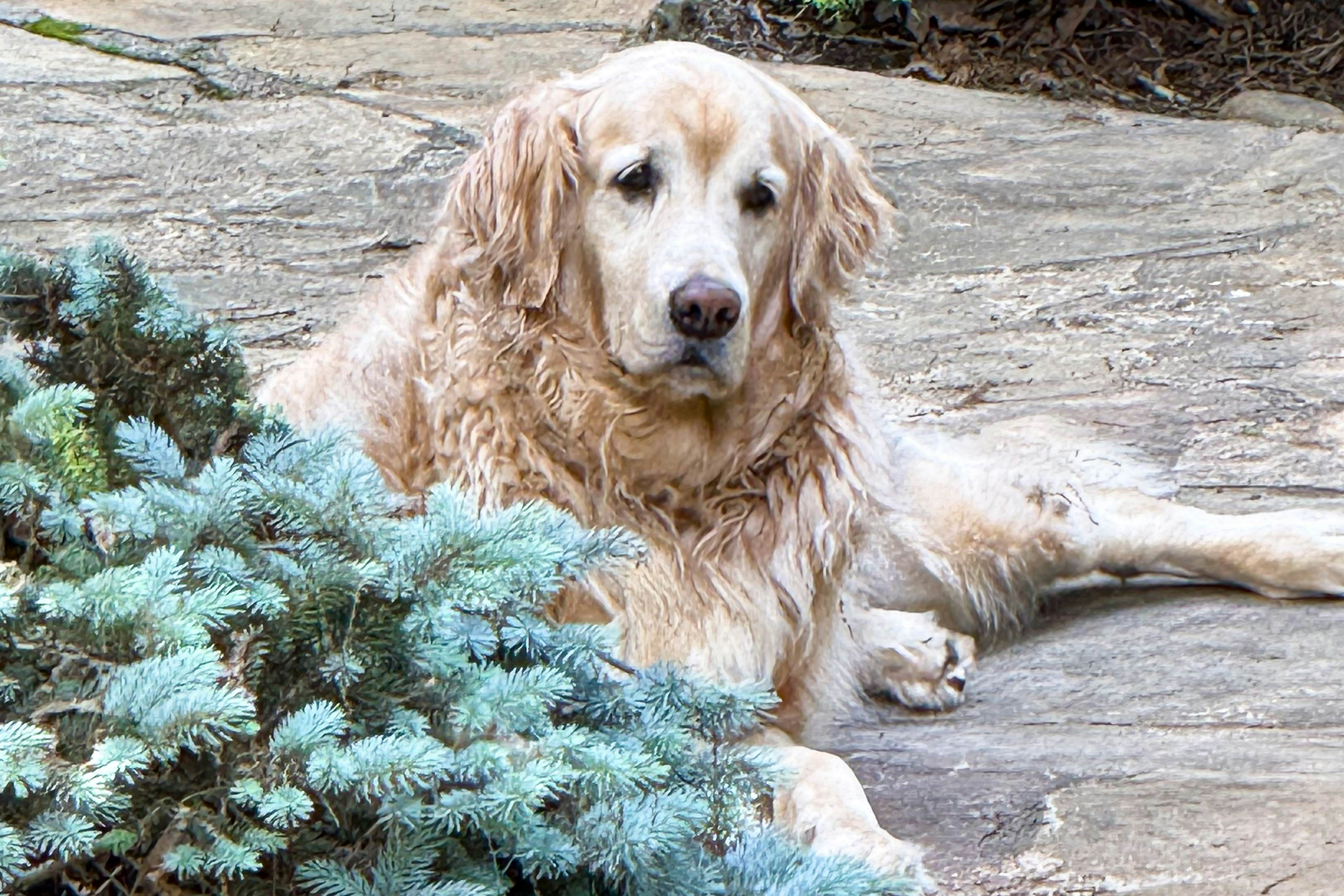 Oasis In the Mountains