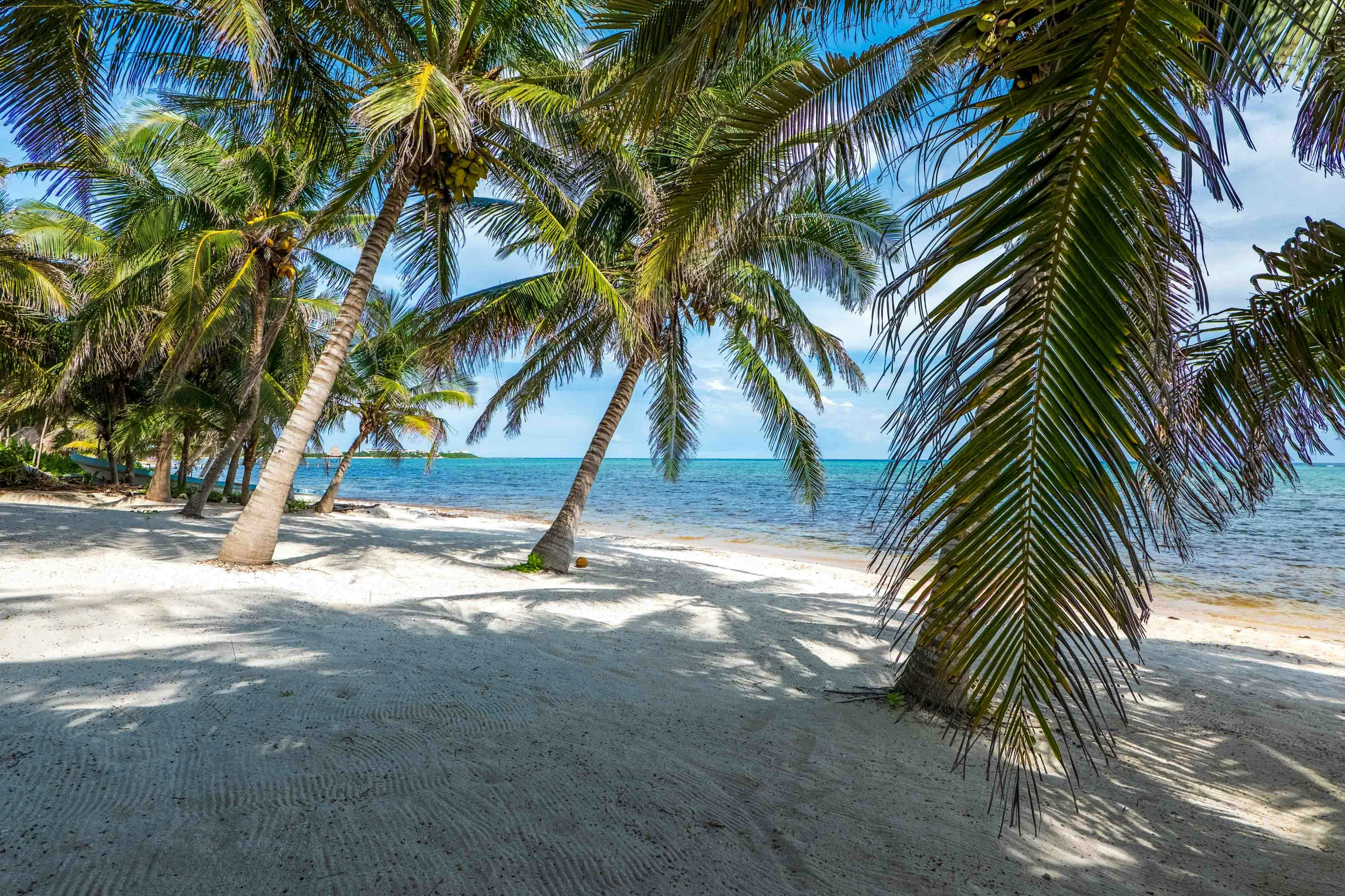 Villa Mandala at Tankah Beachfront, Tulum