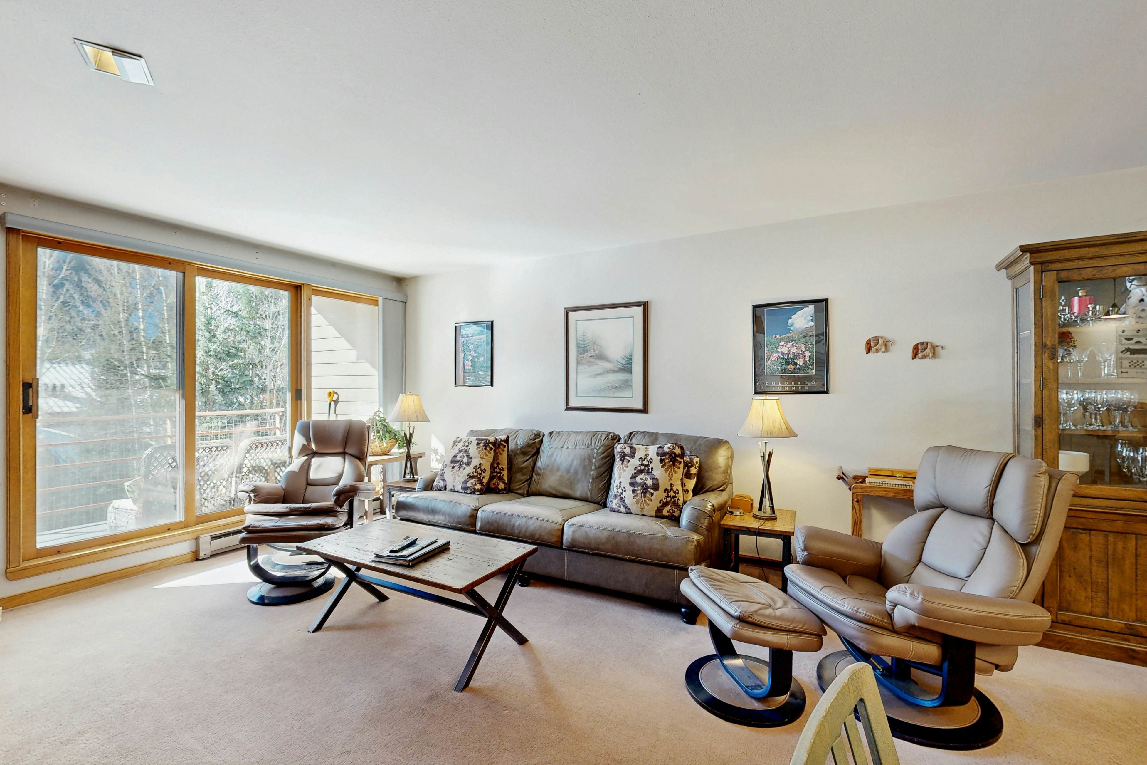 Ski Run Condominiums 203