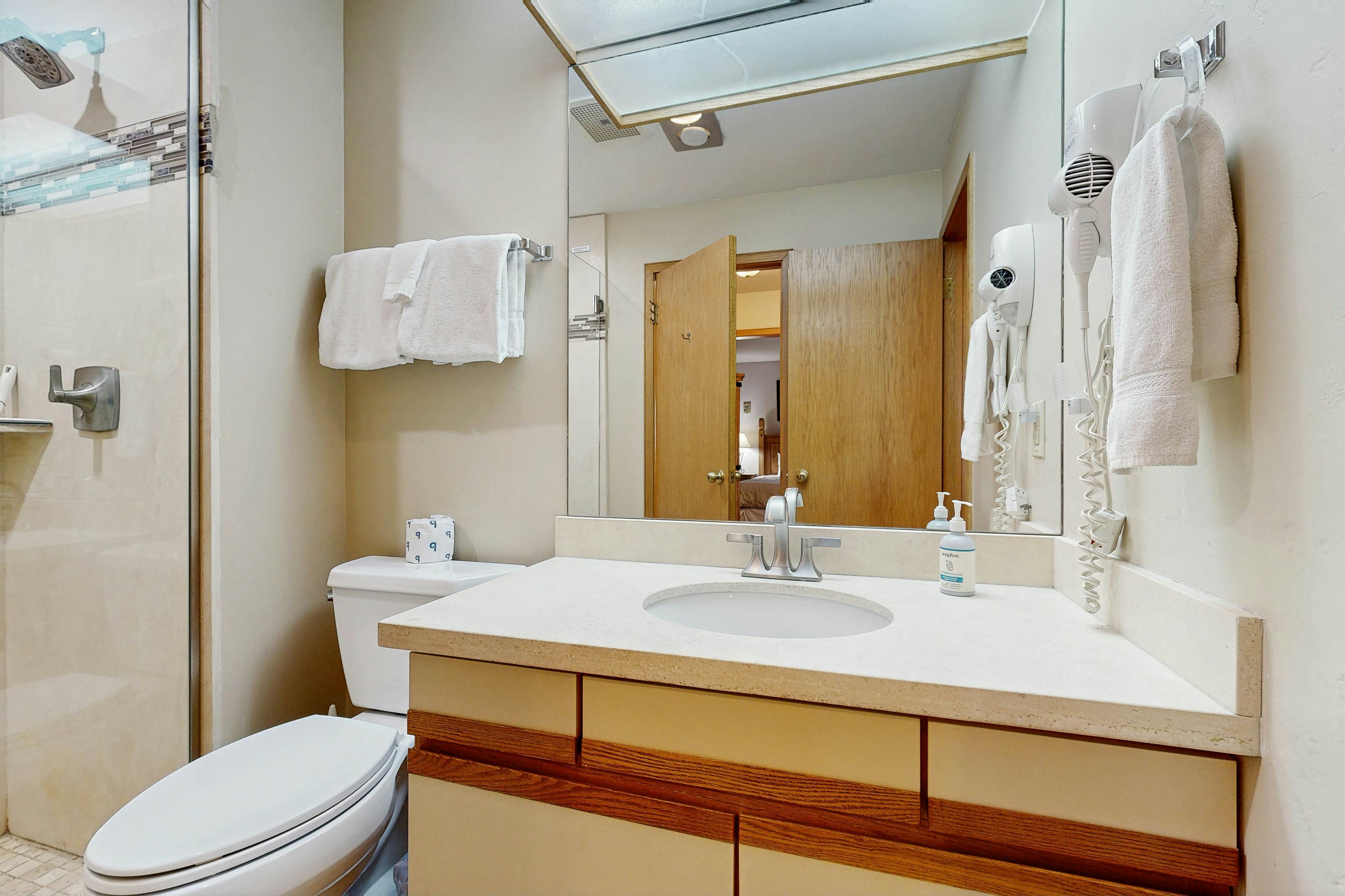 Ski Run Condominiums 203