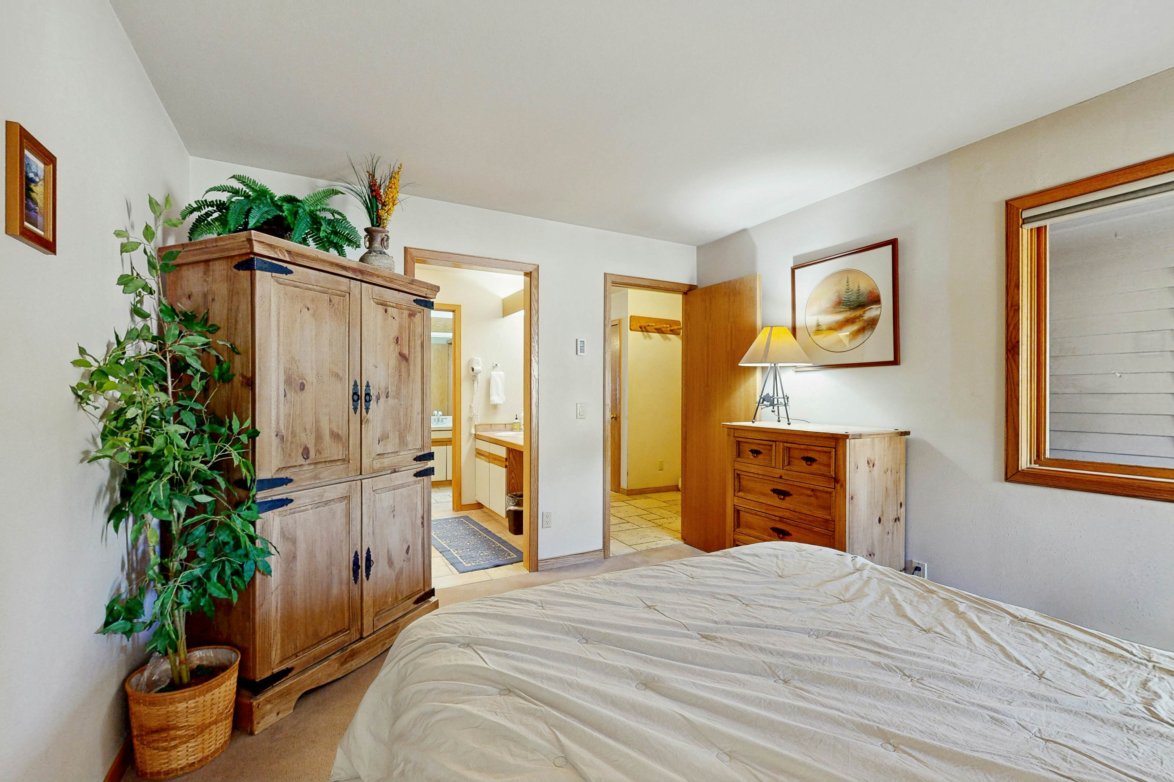 Ski Run Condominiums 203