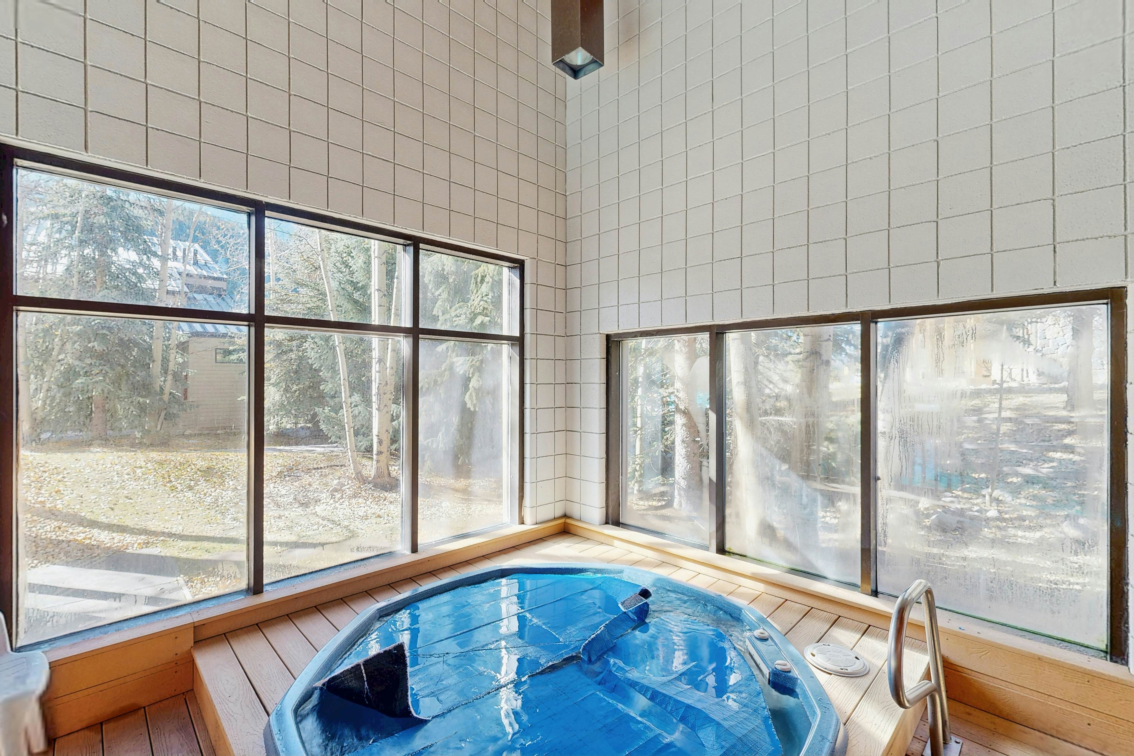 Ski Run Condominiums 203