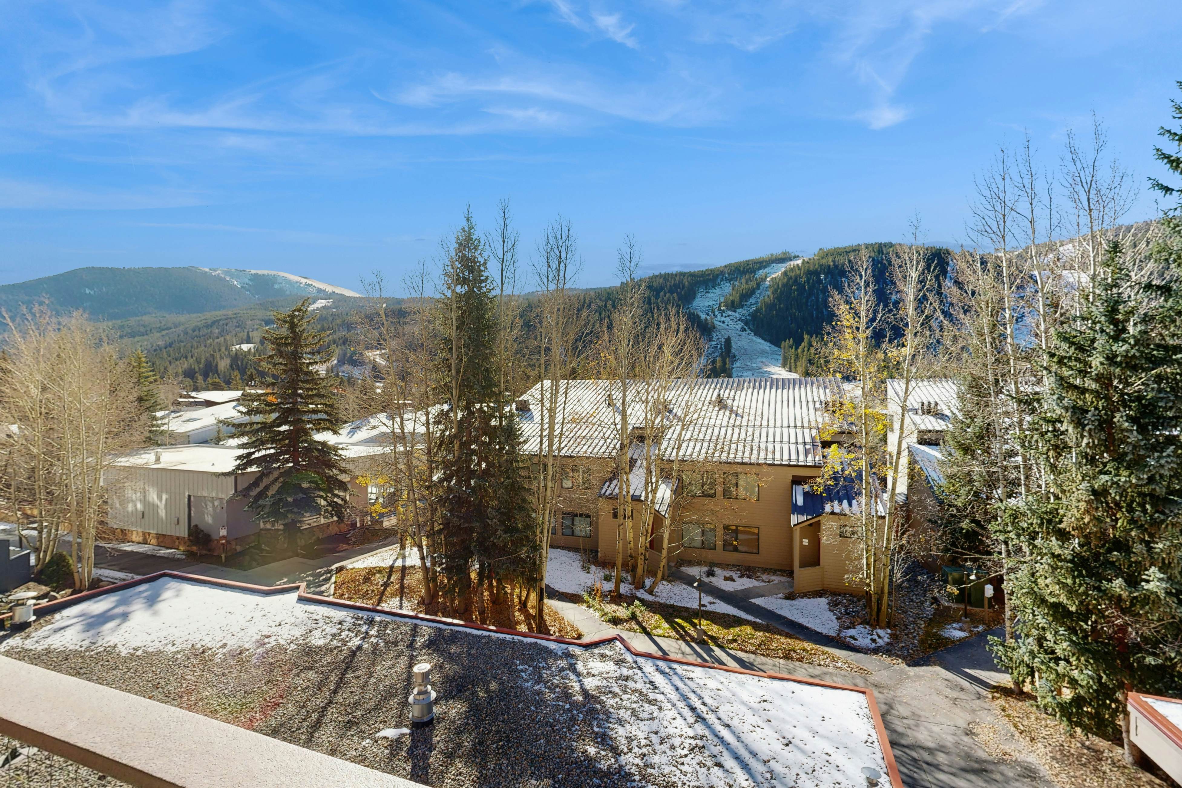 Ski Run Condominiums 203