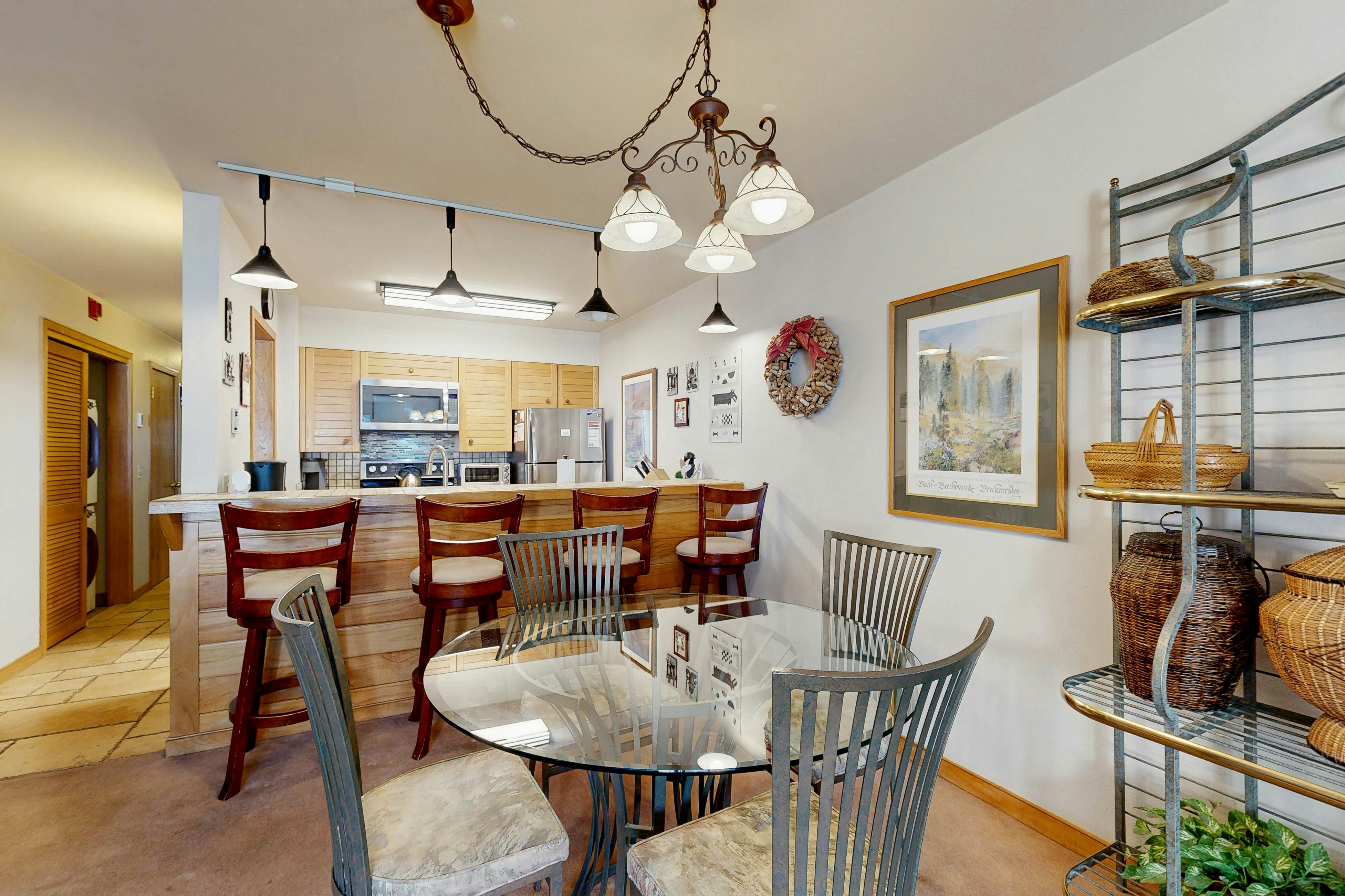 Ski Run Condominiums 203